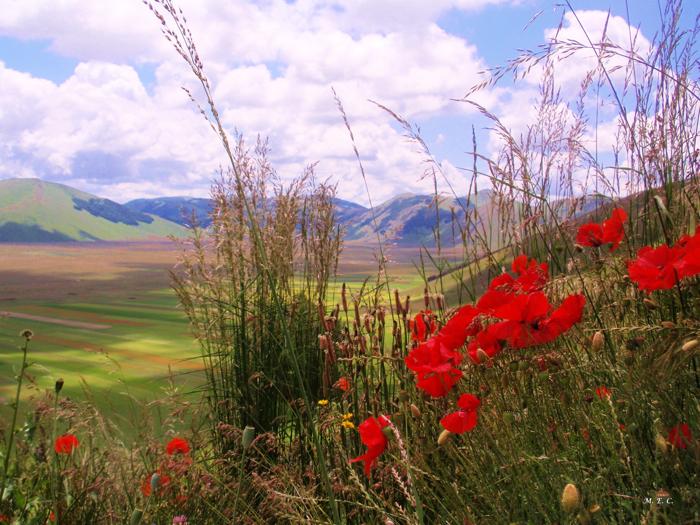 La morbida piana dei Monti Sibillini