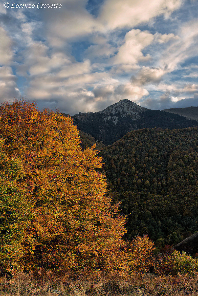 La Luce dell'Autunno