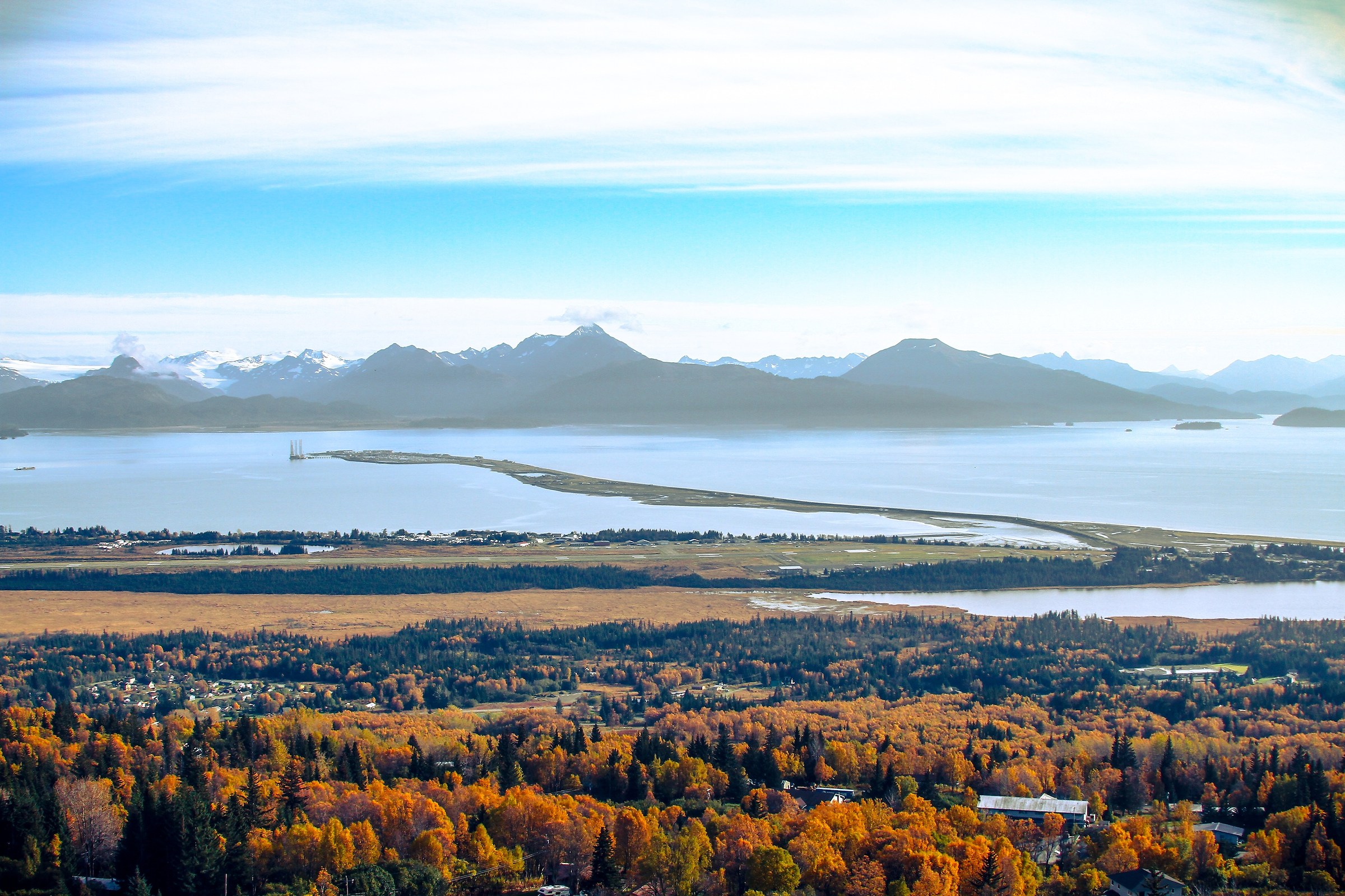 spit wool from the view point of homer