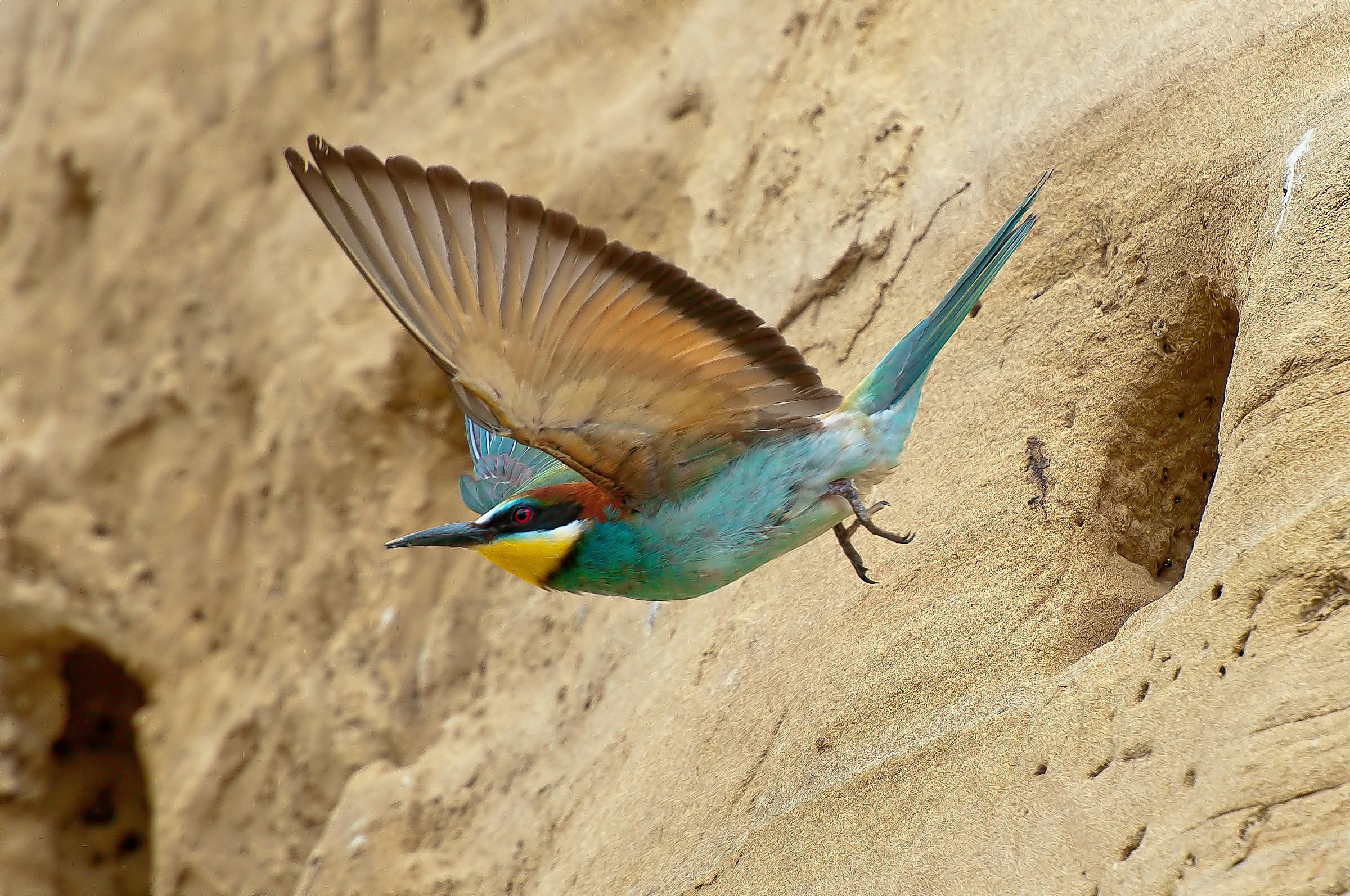 un salto e' ....via....