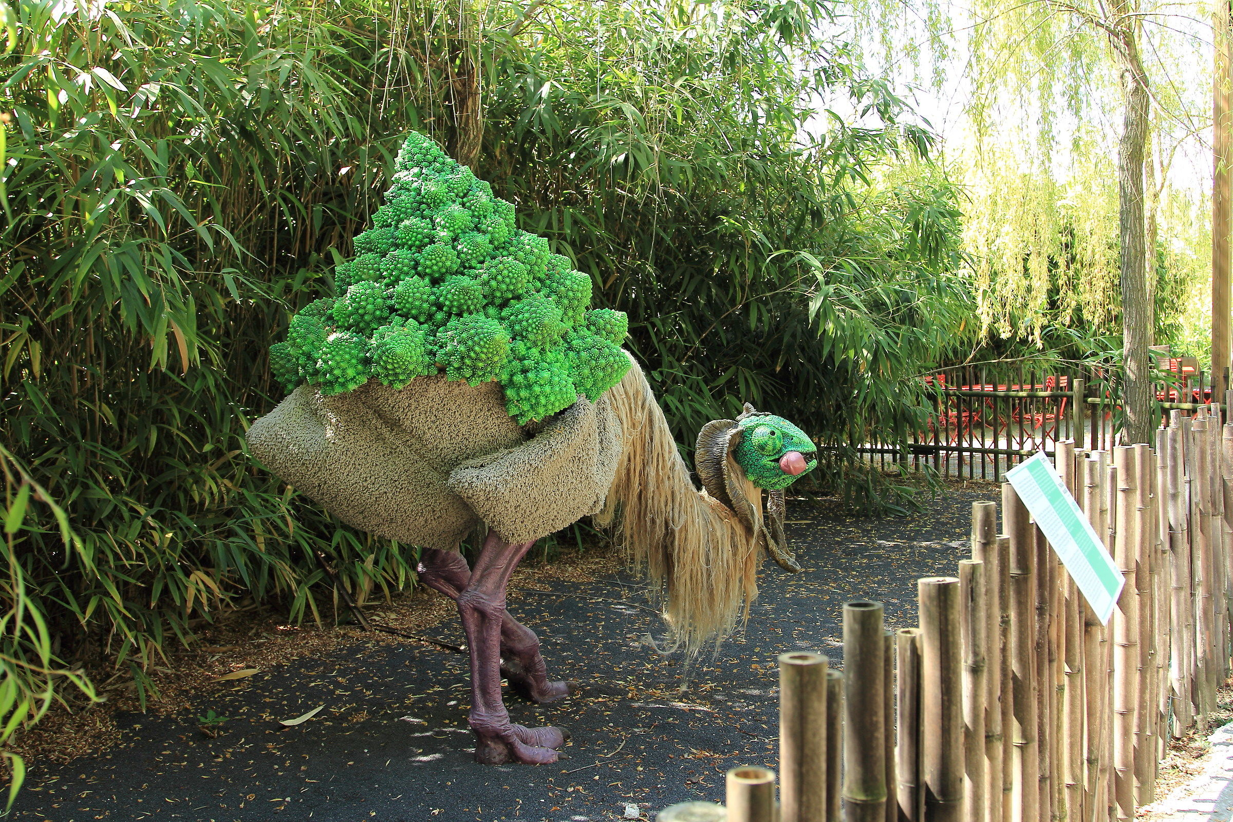 Hopefully allowed to lapse