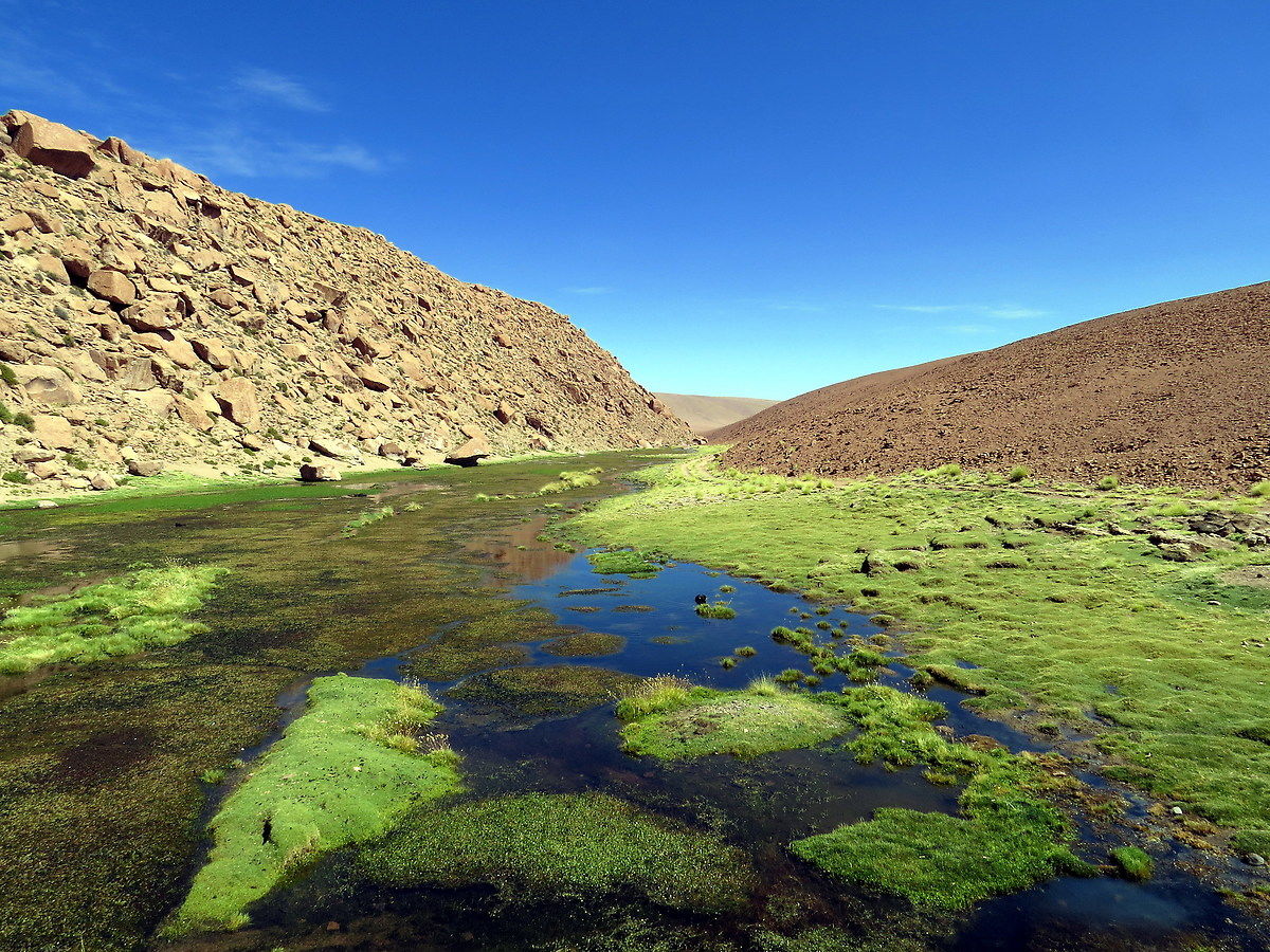 Torrente nel deserto