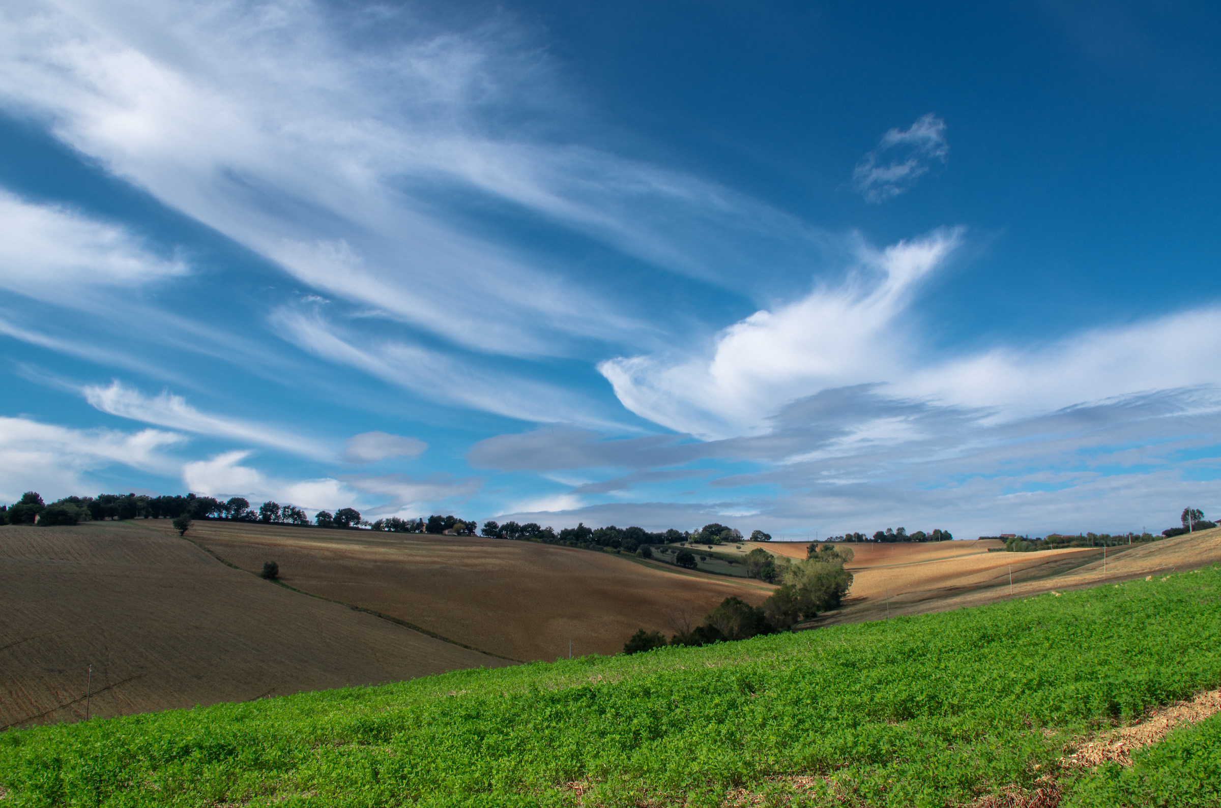 Autunno Marchigiano 2