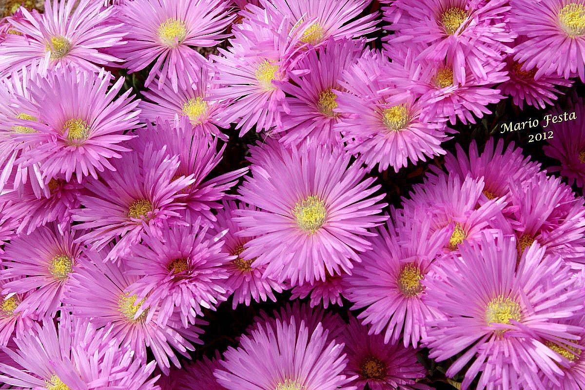 Briantemo the Amalfi Coast