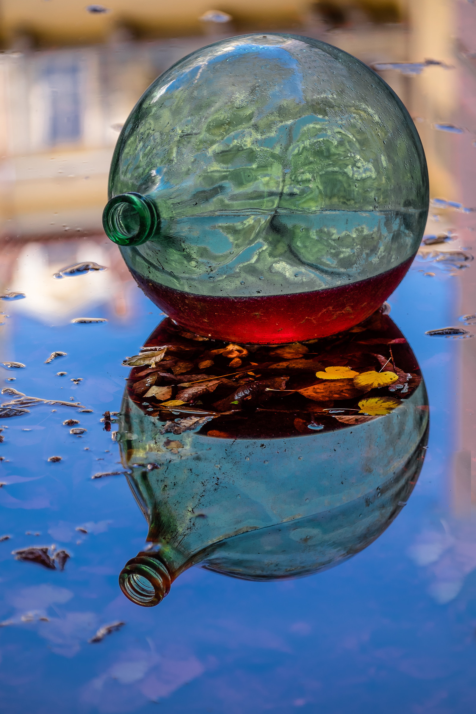 Autumn reflections ................