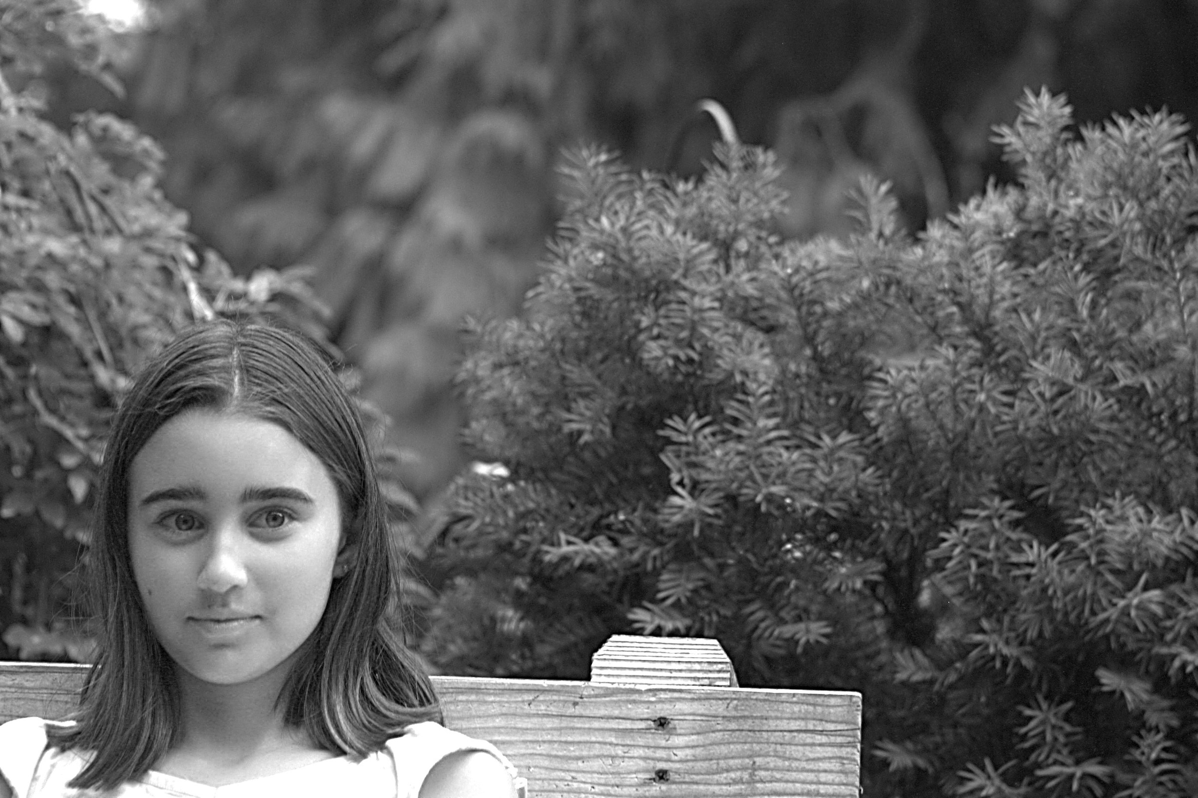 Aspettando pazientemente