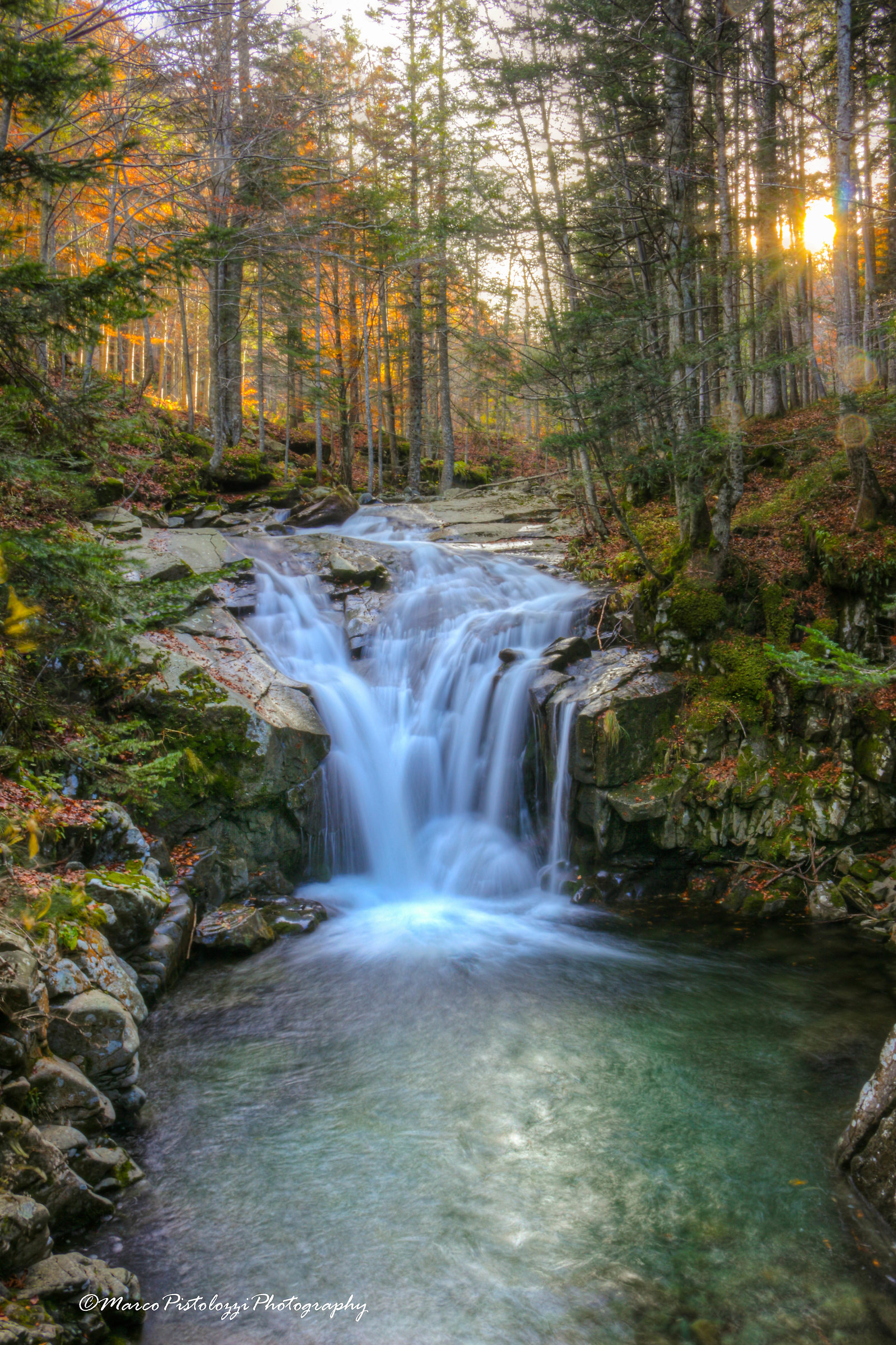 .. la magia del bosco in autunno..