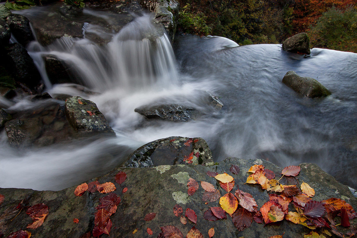 Foliage sul Dardagna ...