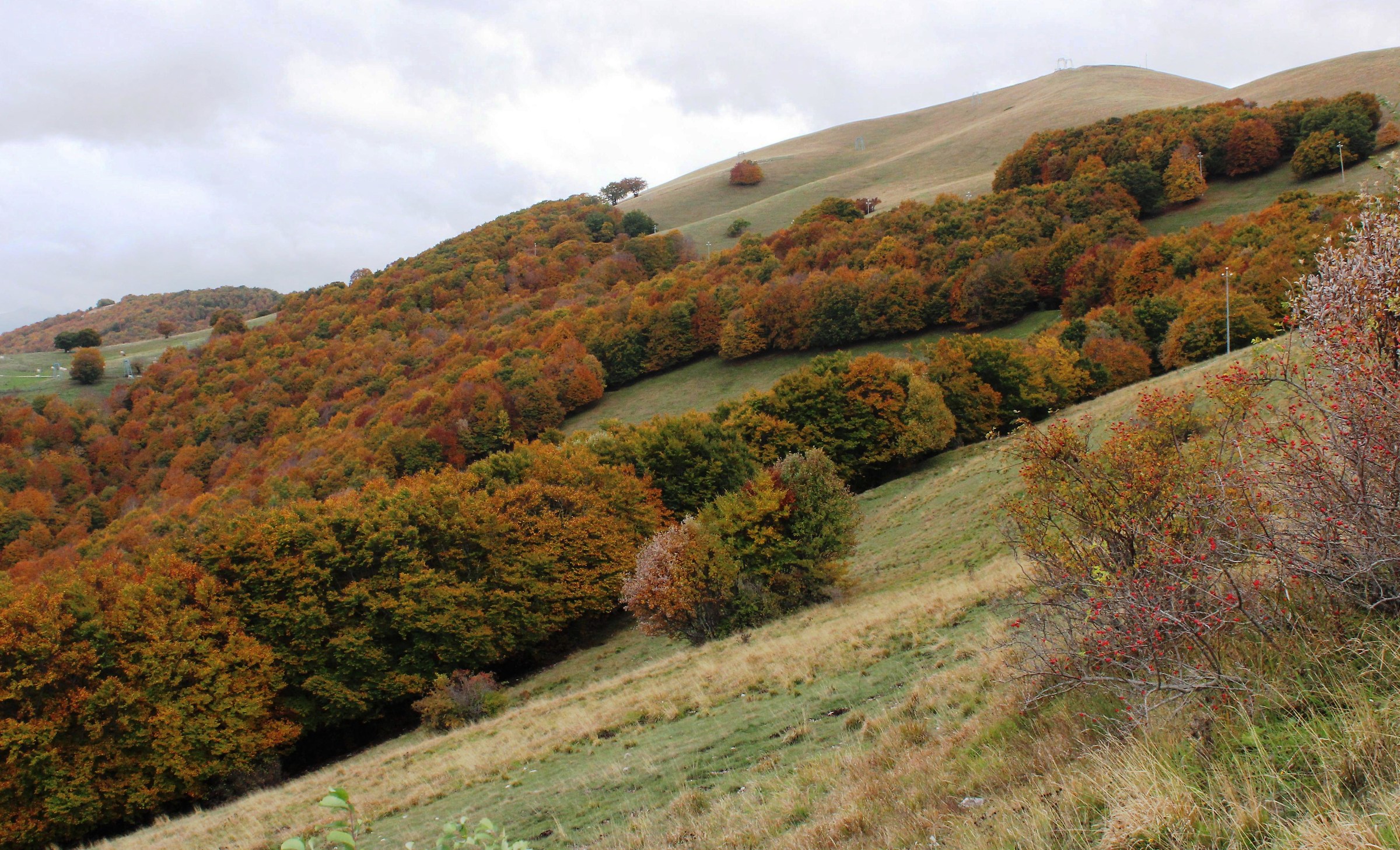 Colori...Sibillini..