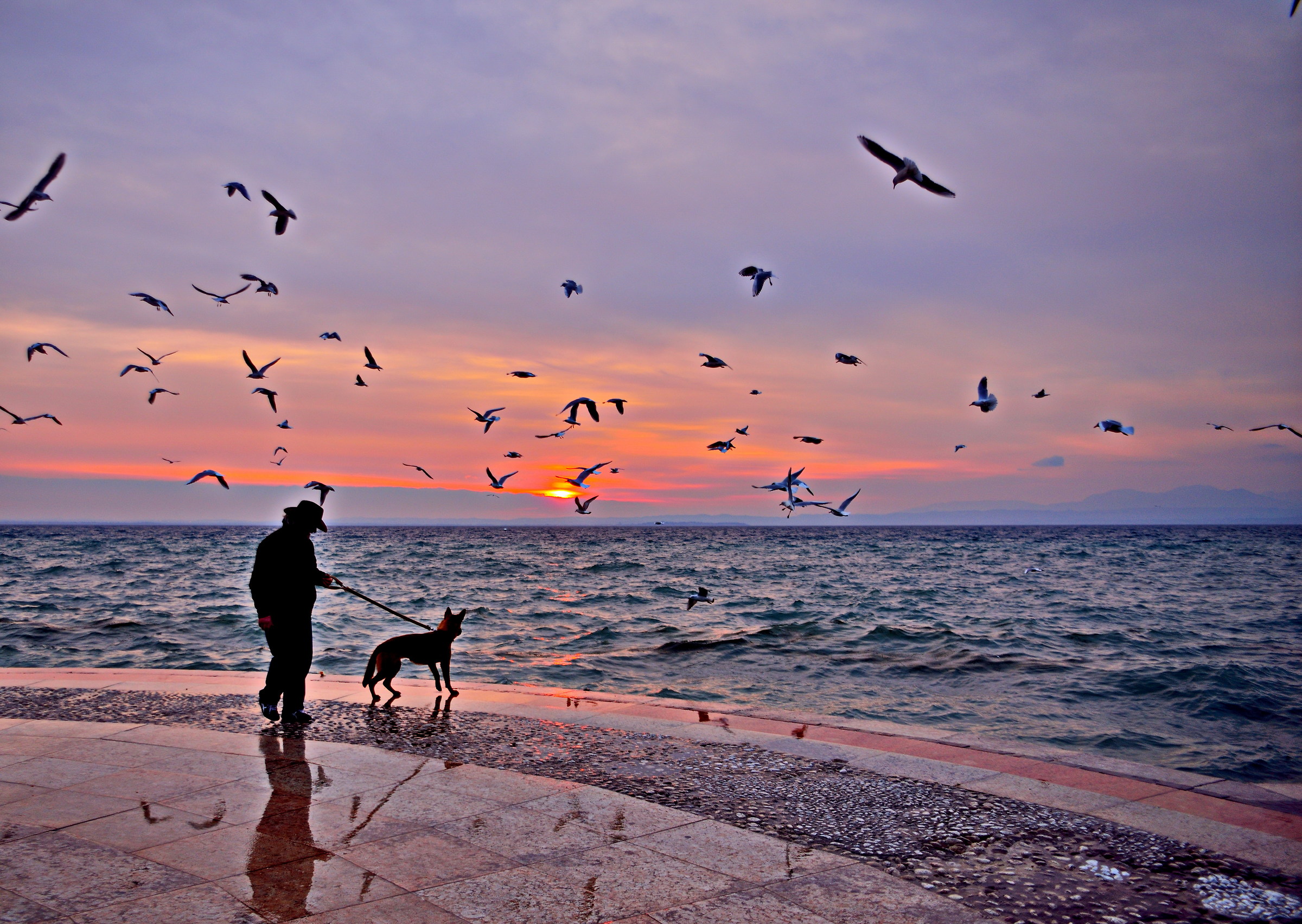 L'uomo con il suo cane