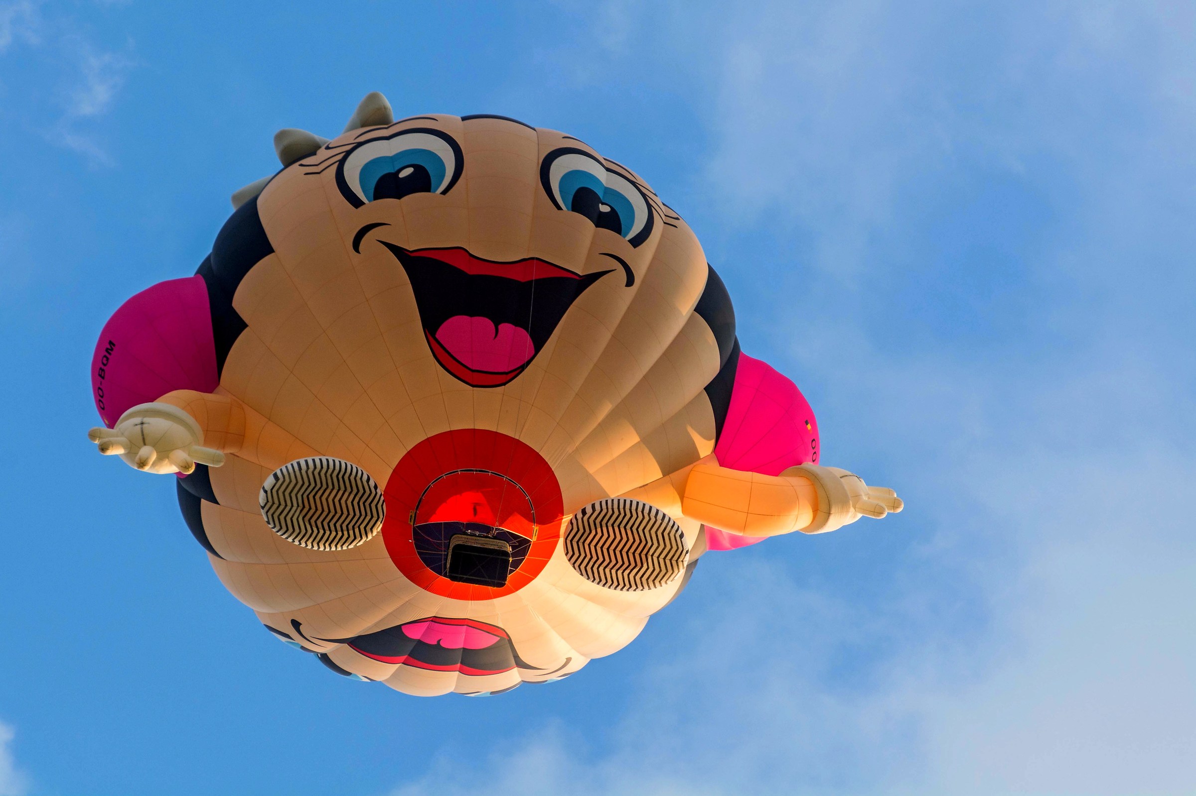 Unbelievable that can fly!