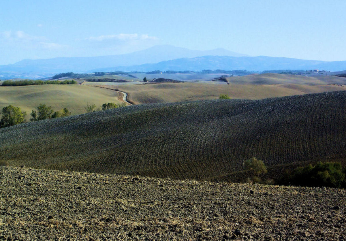 Colline senesi