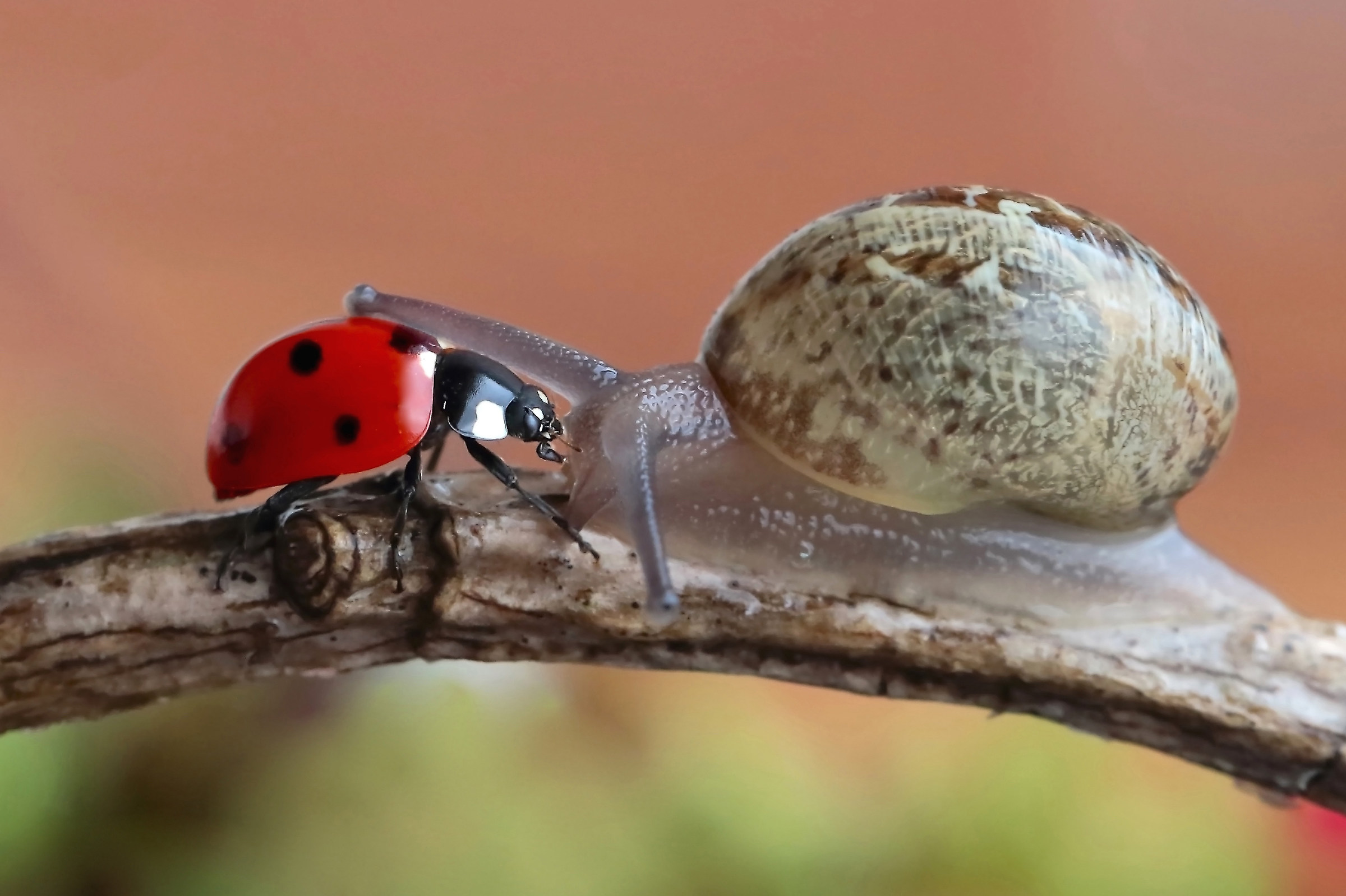 And I will take care of you ....