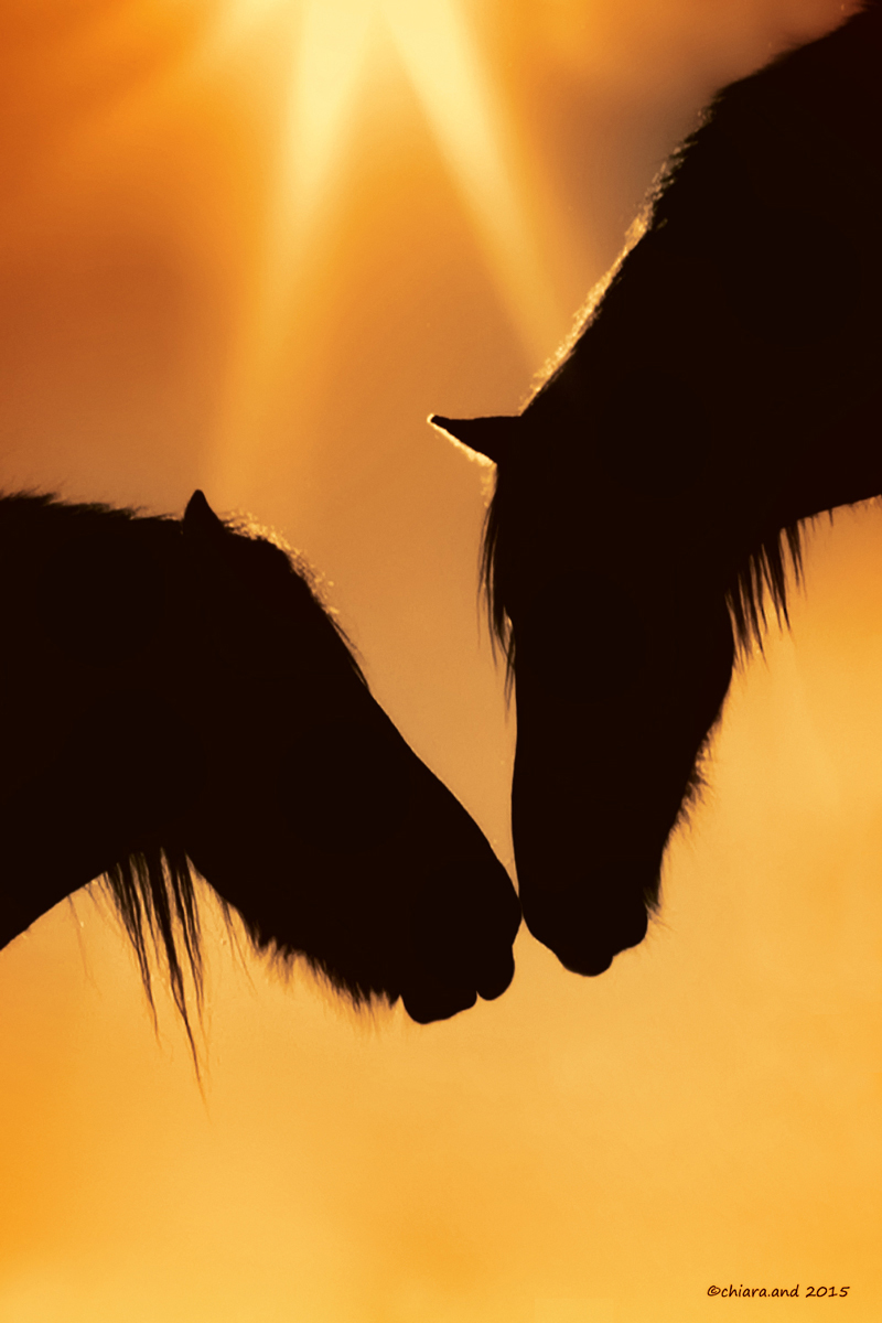 l 'essence of the' Eternal