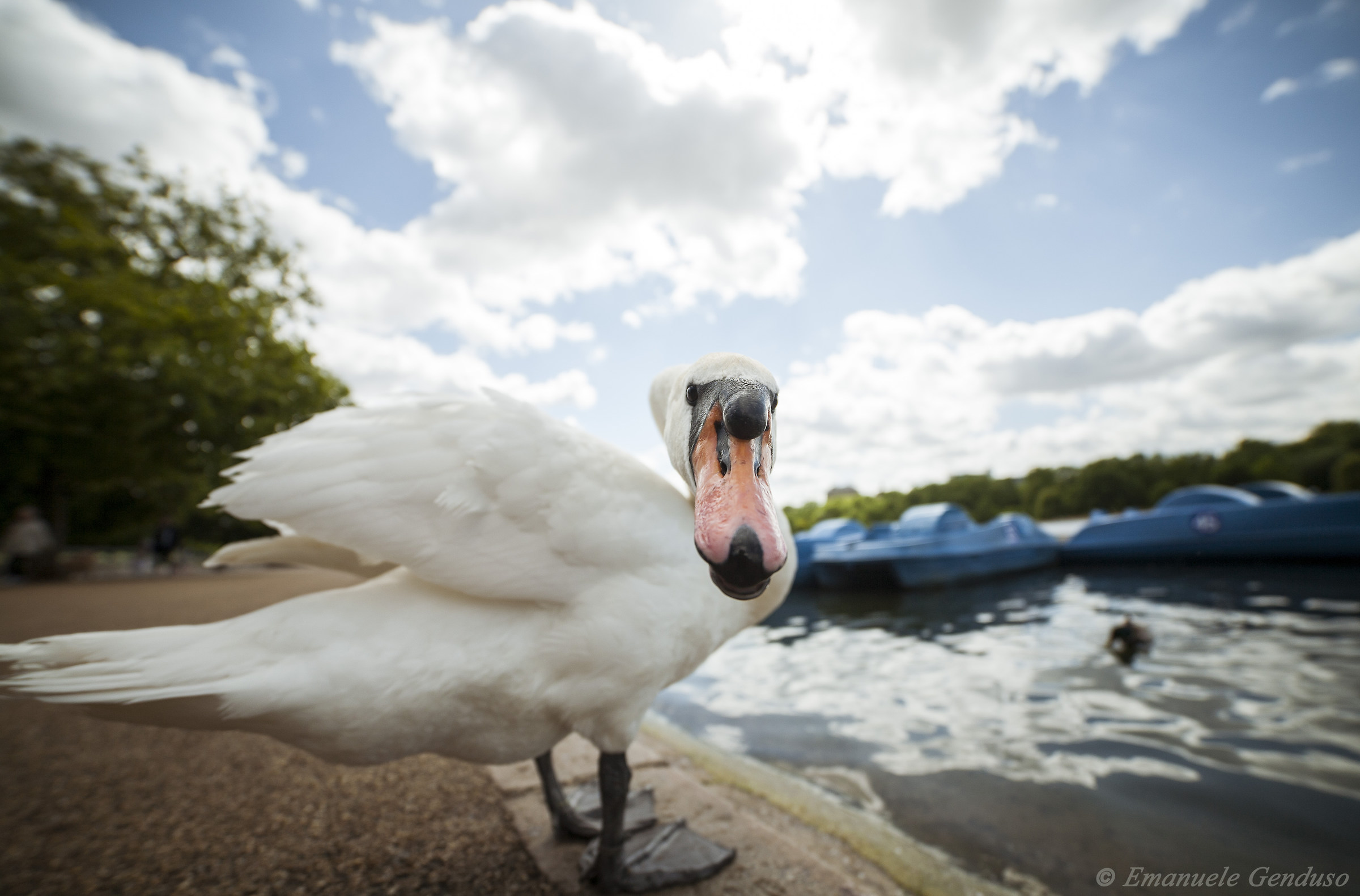 Ehi! Ce l'hai con me?!?