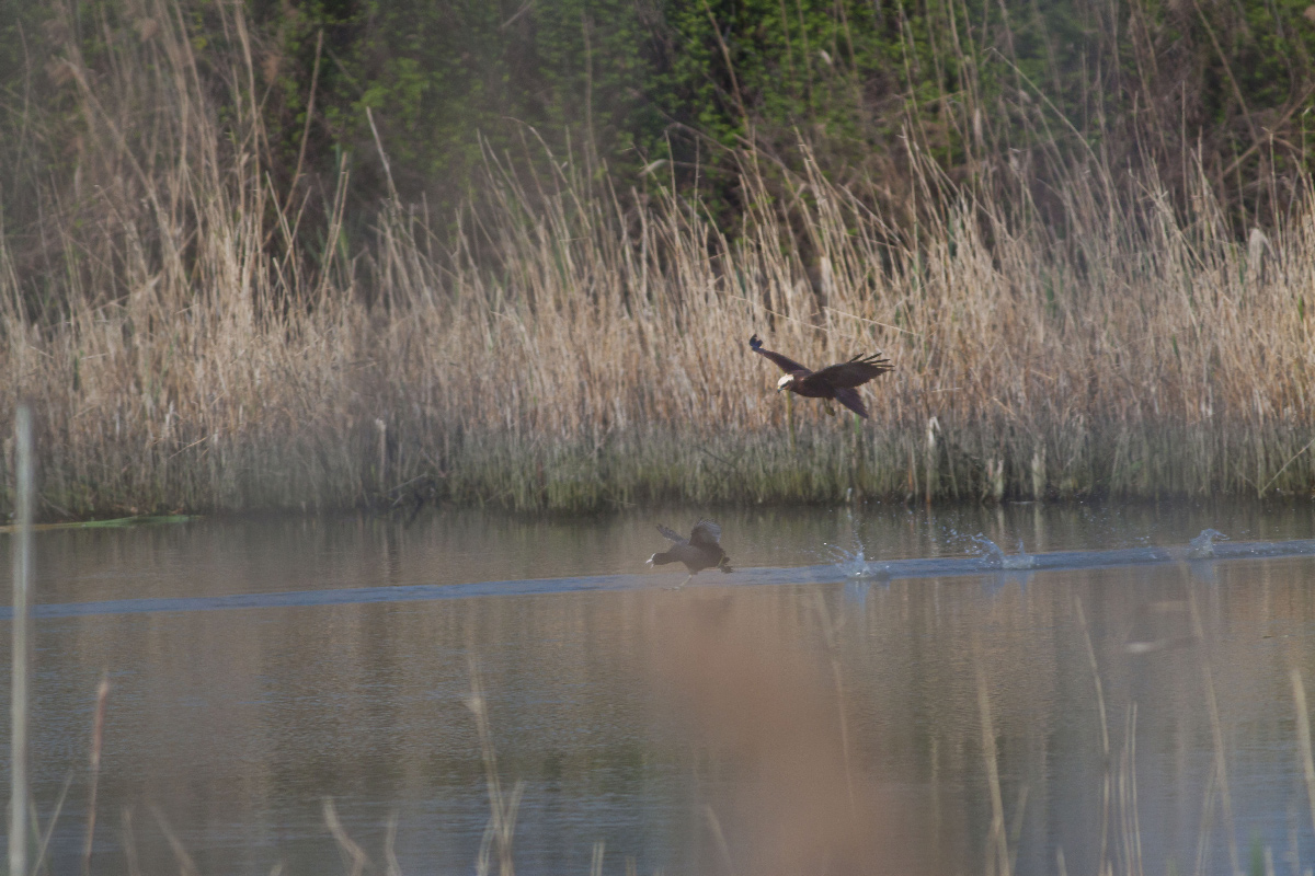 Being at the right time, in the wrong place!!