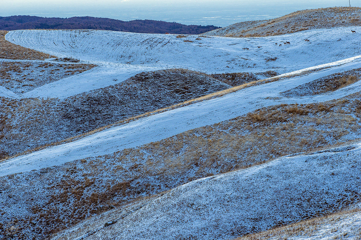 Alba dal monte Pizzoc