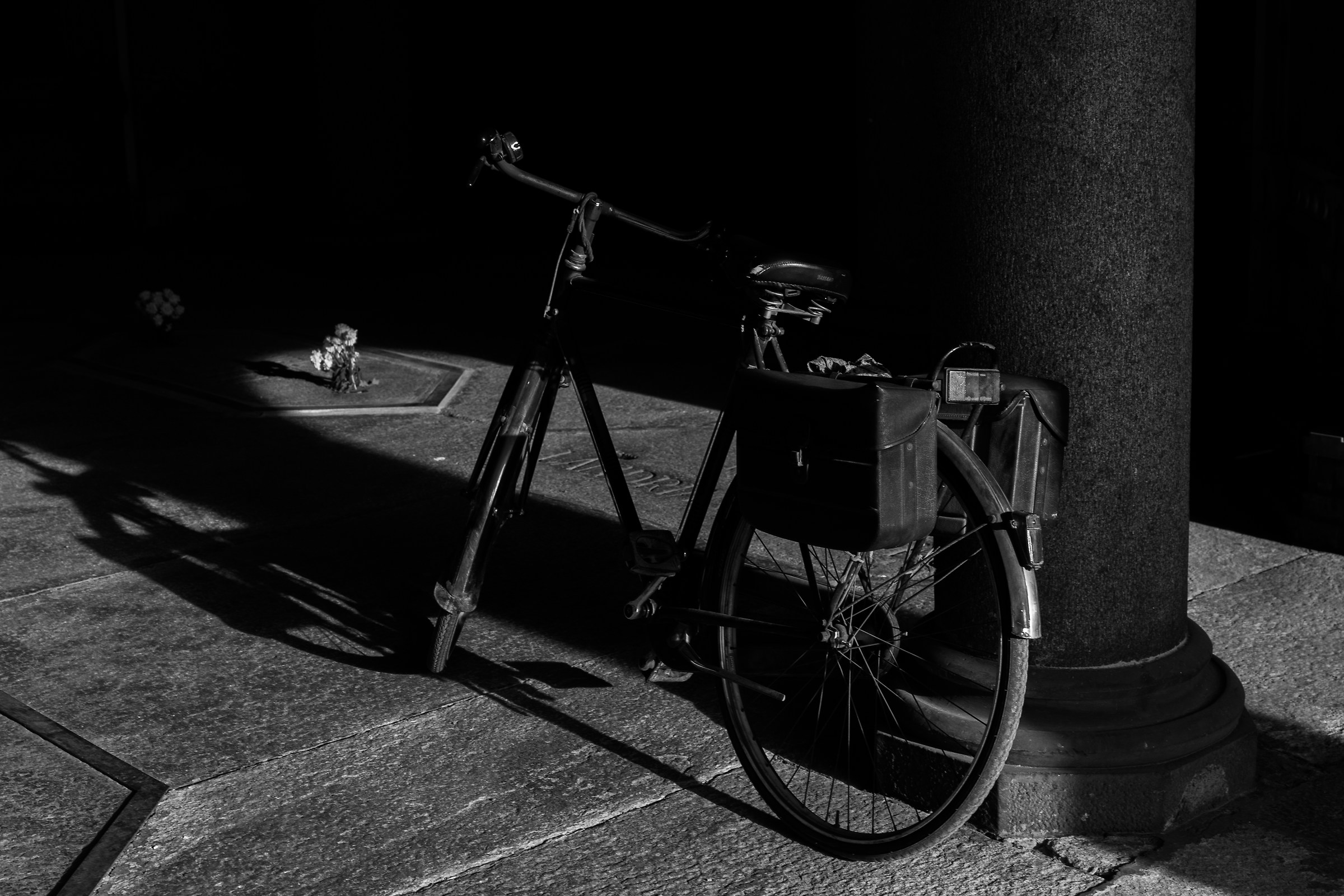 Lost Bike (Monumental Cemetery)
