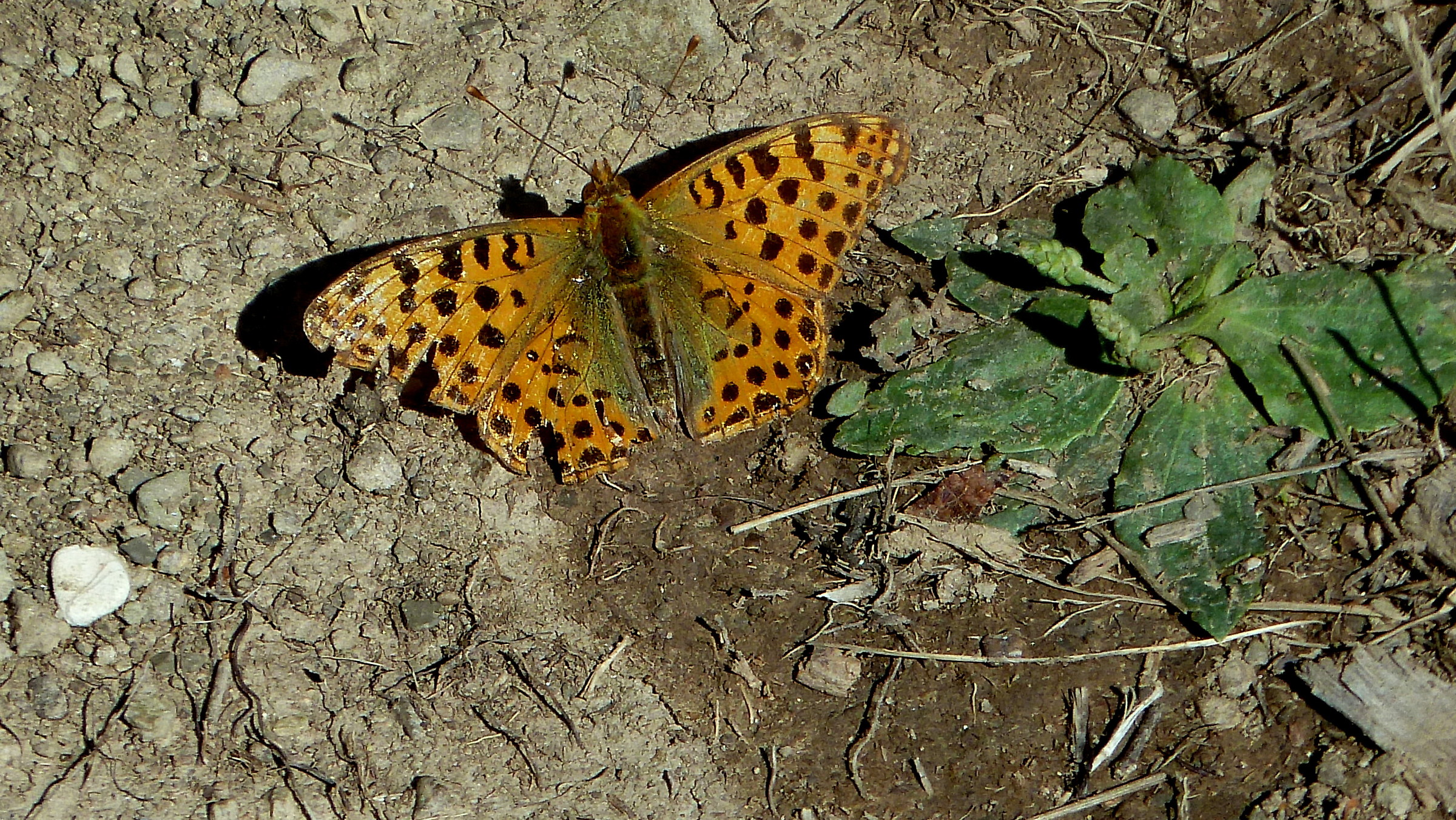 Mi prendo un po' di Sole