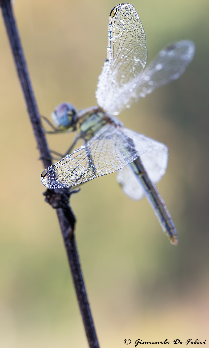Waiting for the first ray of sunshine