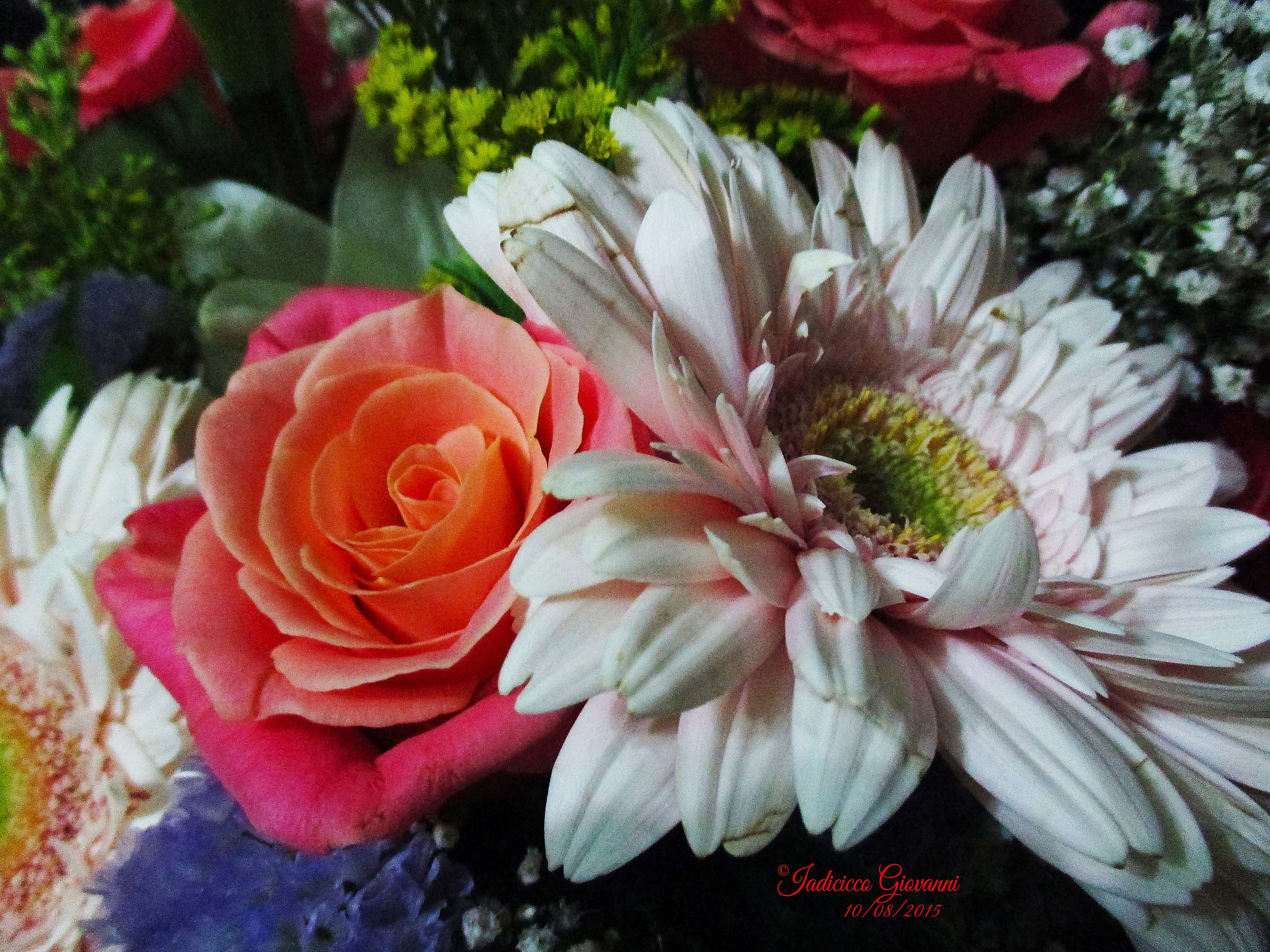 Composizione floreale colorata