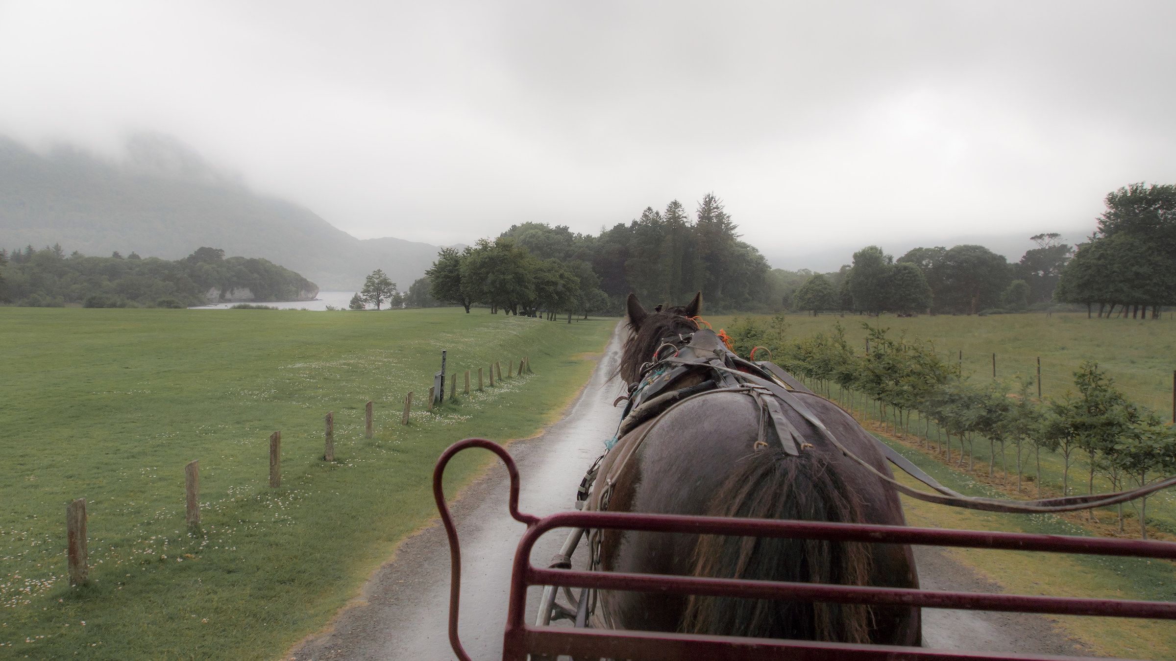 Killarney National Park