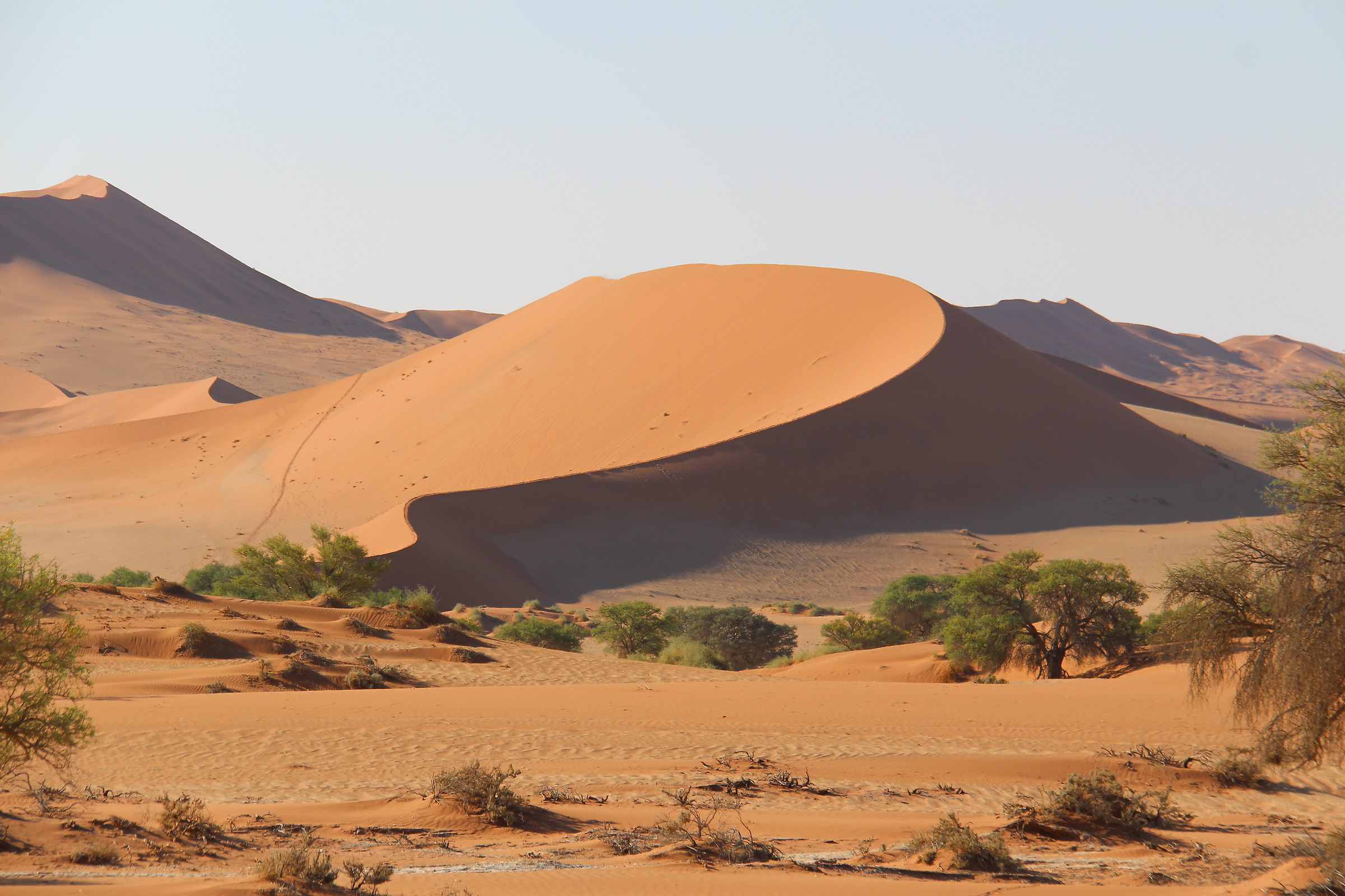 Parco Nazionale Namib Desert