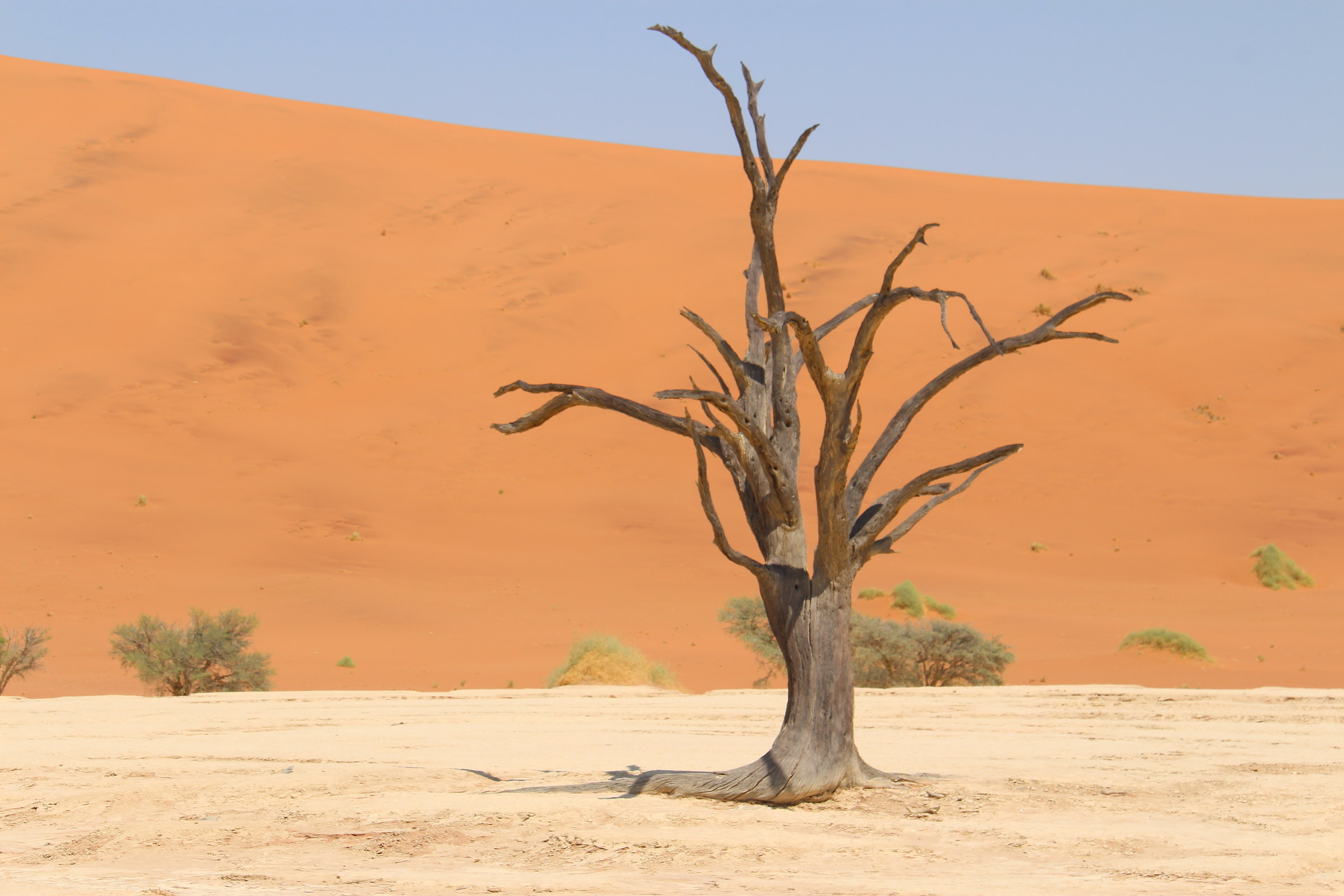 Parco Nazionale Namib Desert