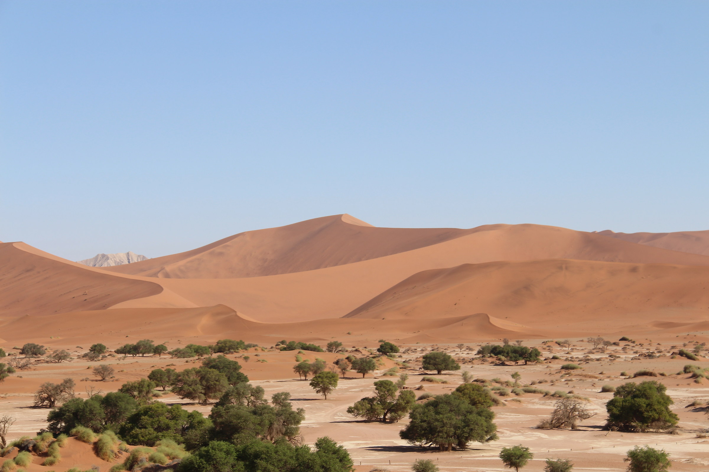 Parco Nazionale Namib Desert