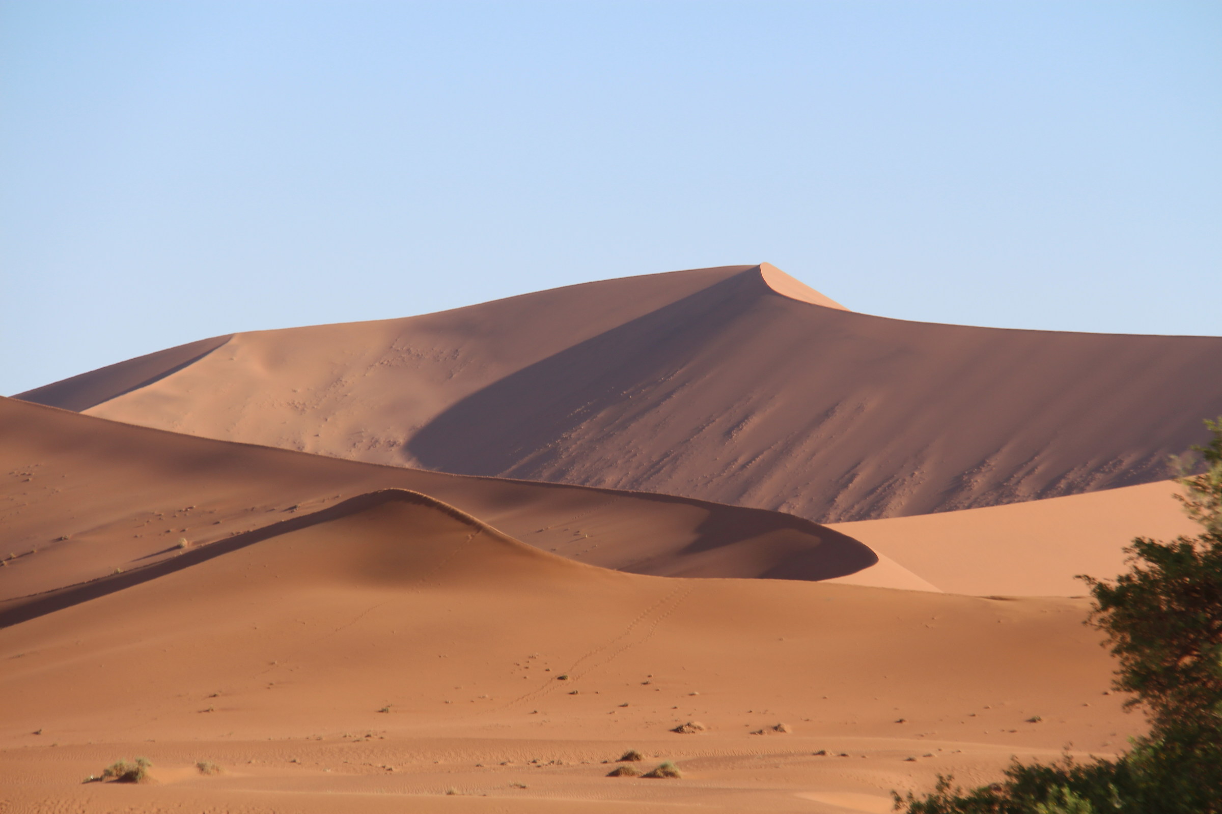 Parco Nazionale Namib Desert