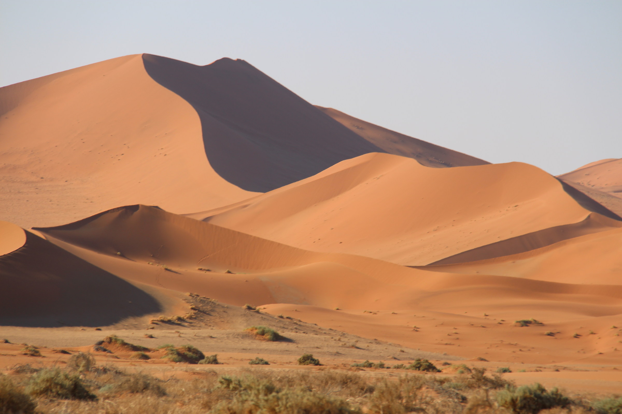 Parco Nazionale Namib Desert