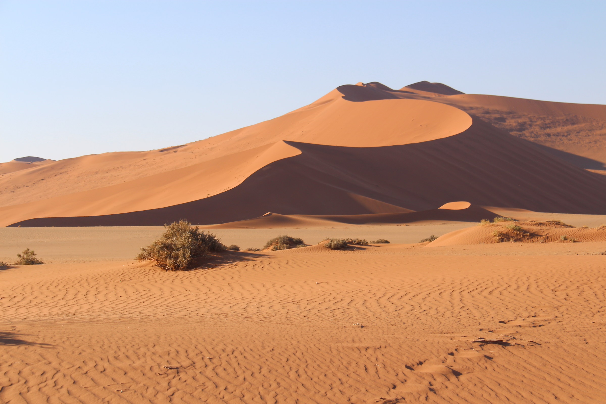 Parco Nazionale Namib Desert