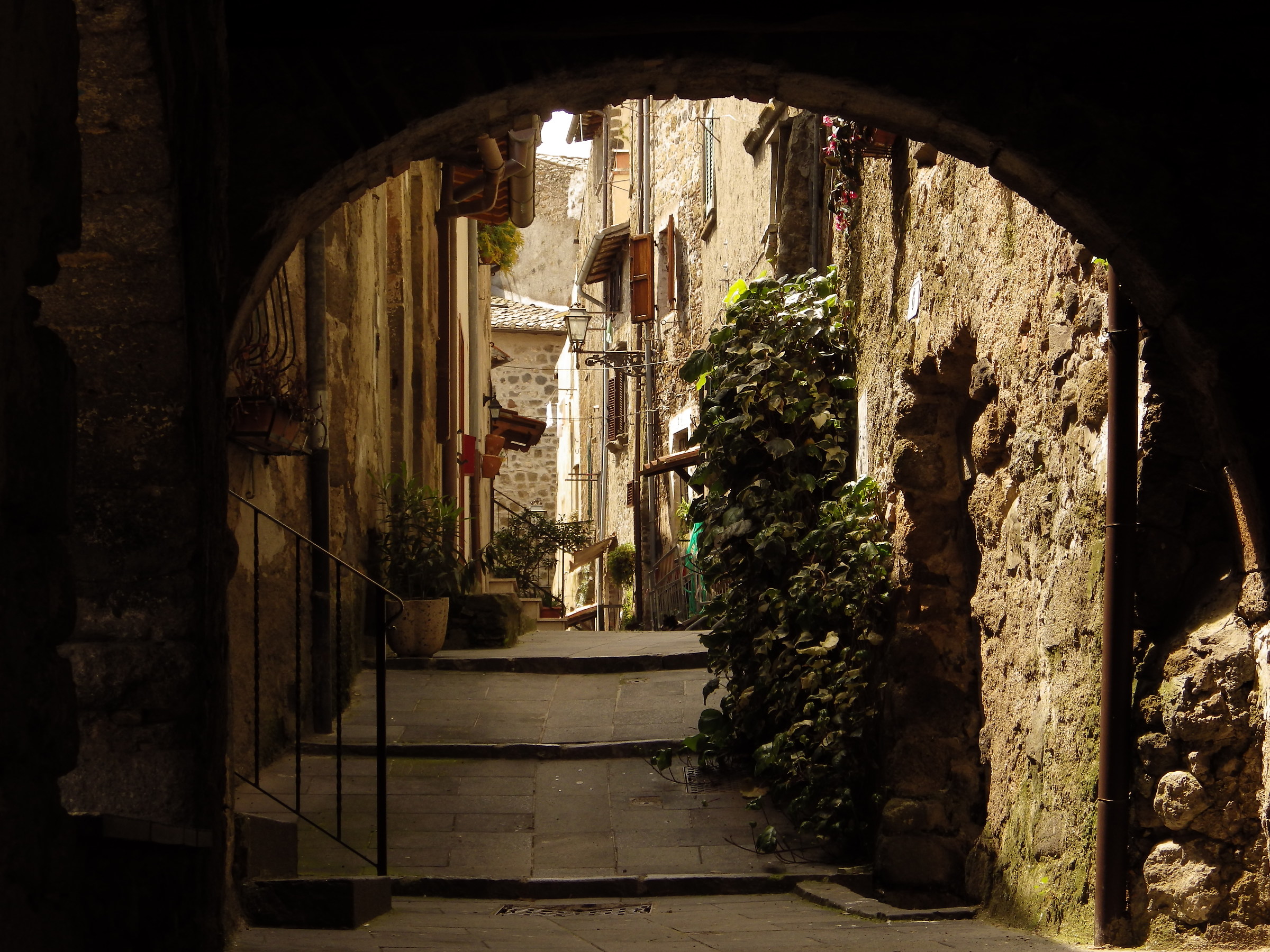 Urban visions of Martha (vt)