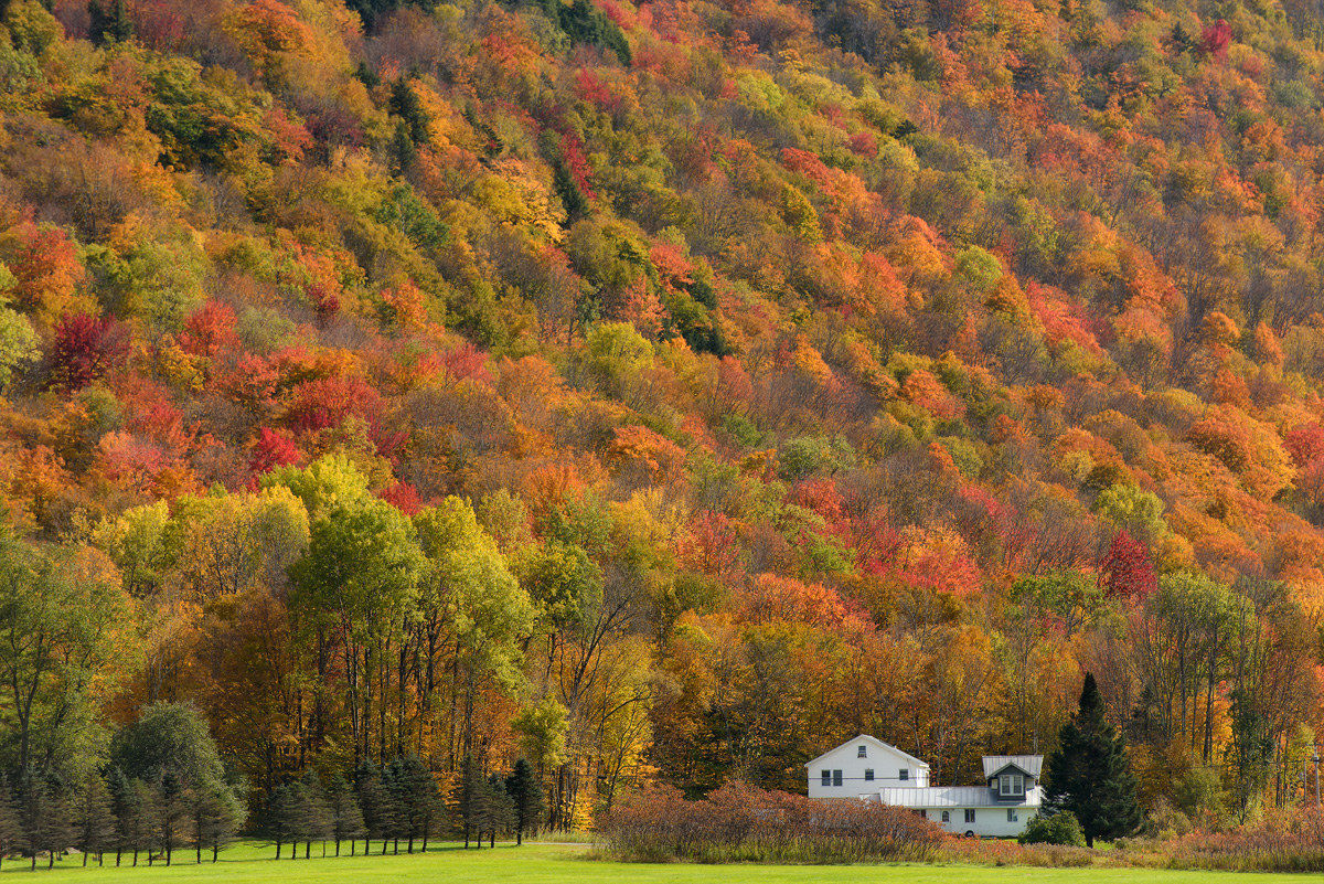 Vermont Indian Summer