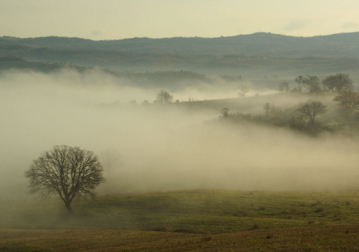 Nebbia da Cinigiano