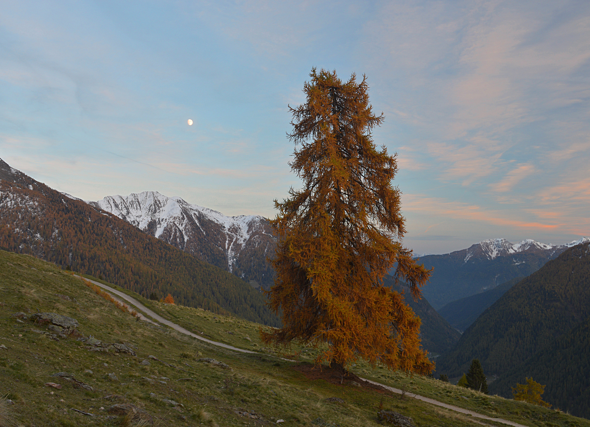 Dovizia di colori al crepuscolo
