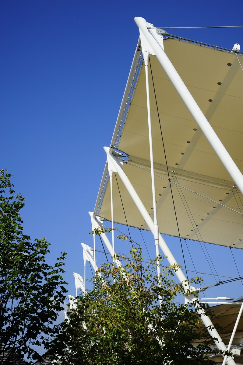 Lombardy - Milan - Expo 2015 - Coverage of the thistle