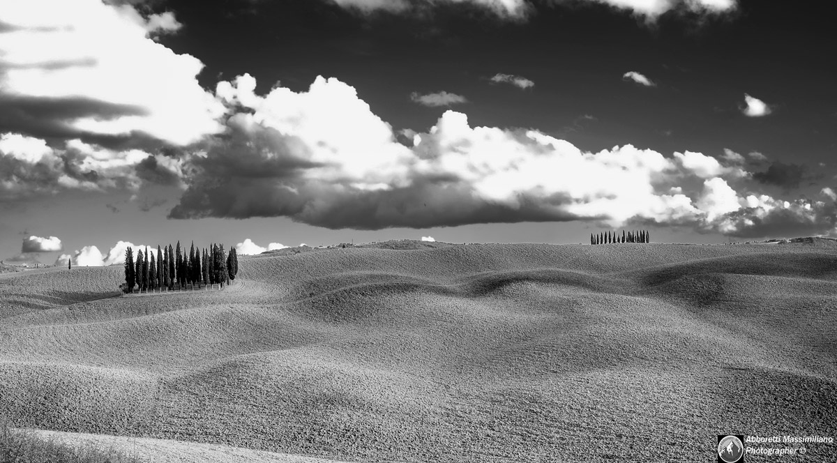 Val d 'Orcia San Quirico-cypress
