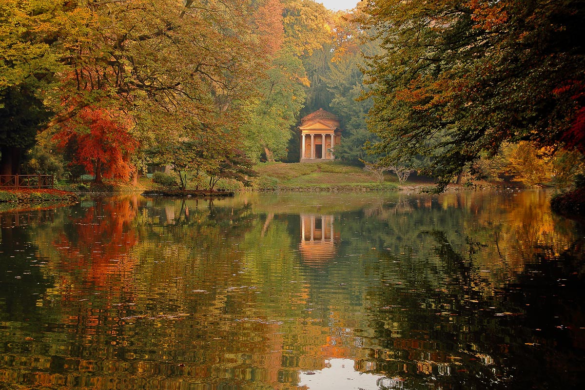 autumn at the park of Monza