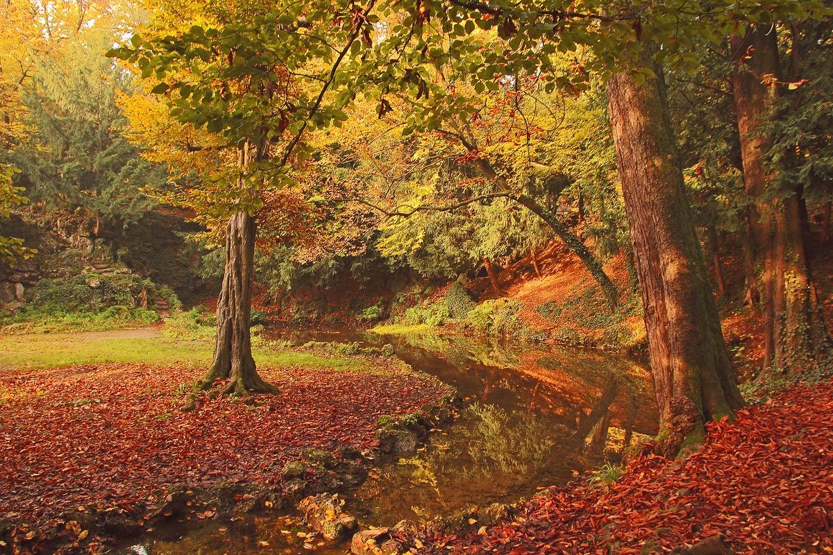 autumn at the park of Monza