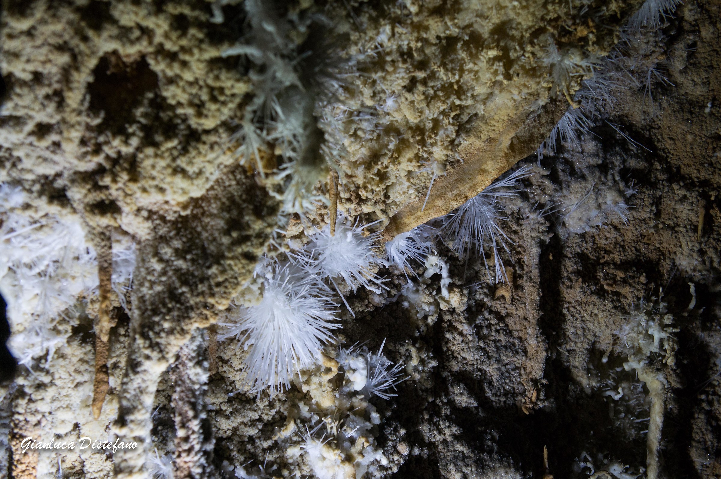 Particolare roccia calcarea grotte "is zuddas"