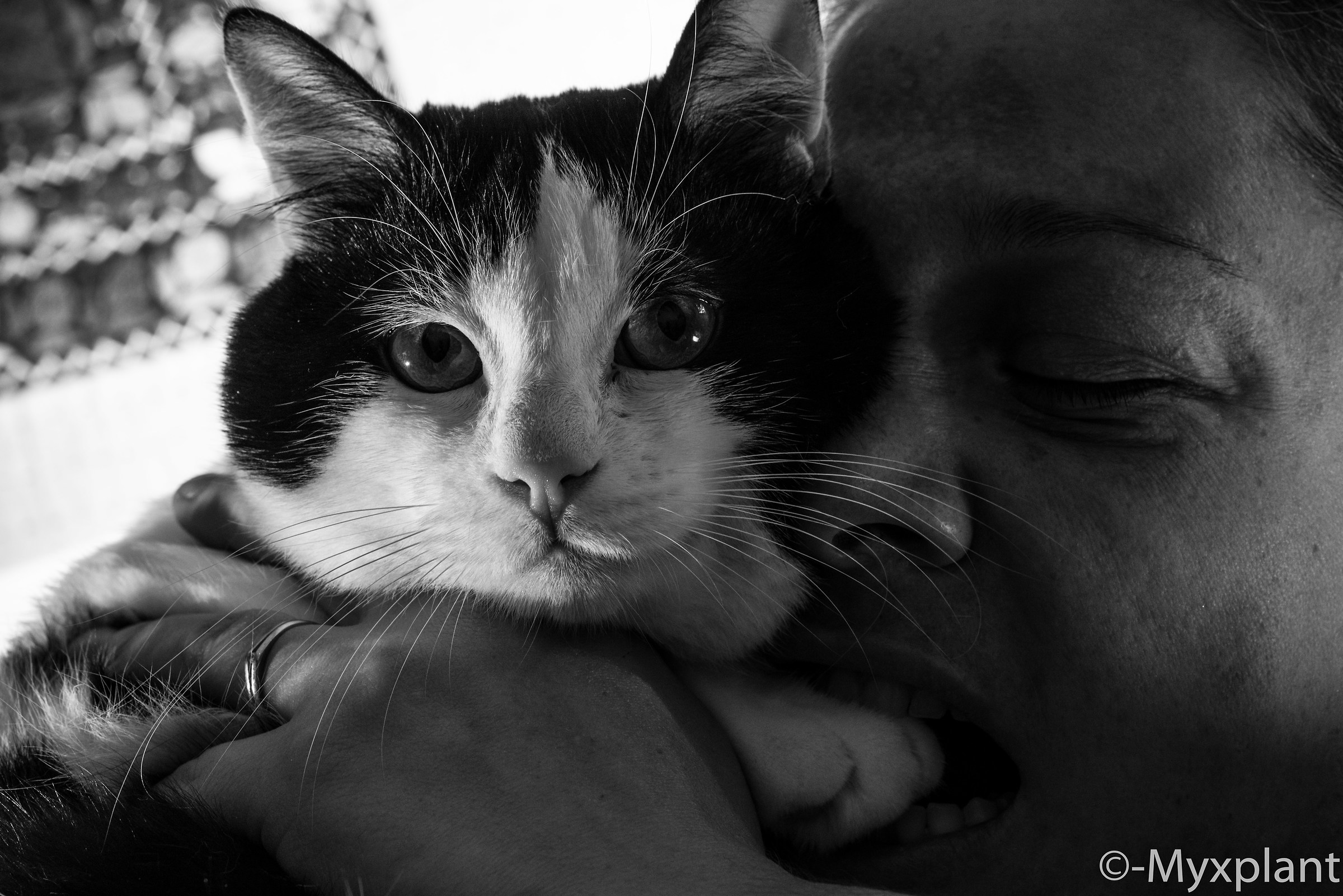 My wife loves my cat