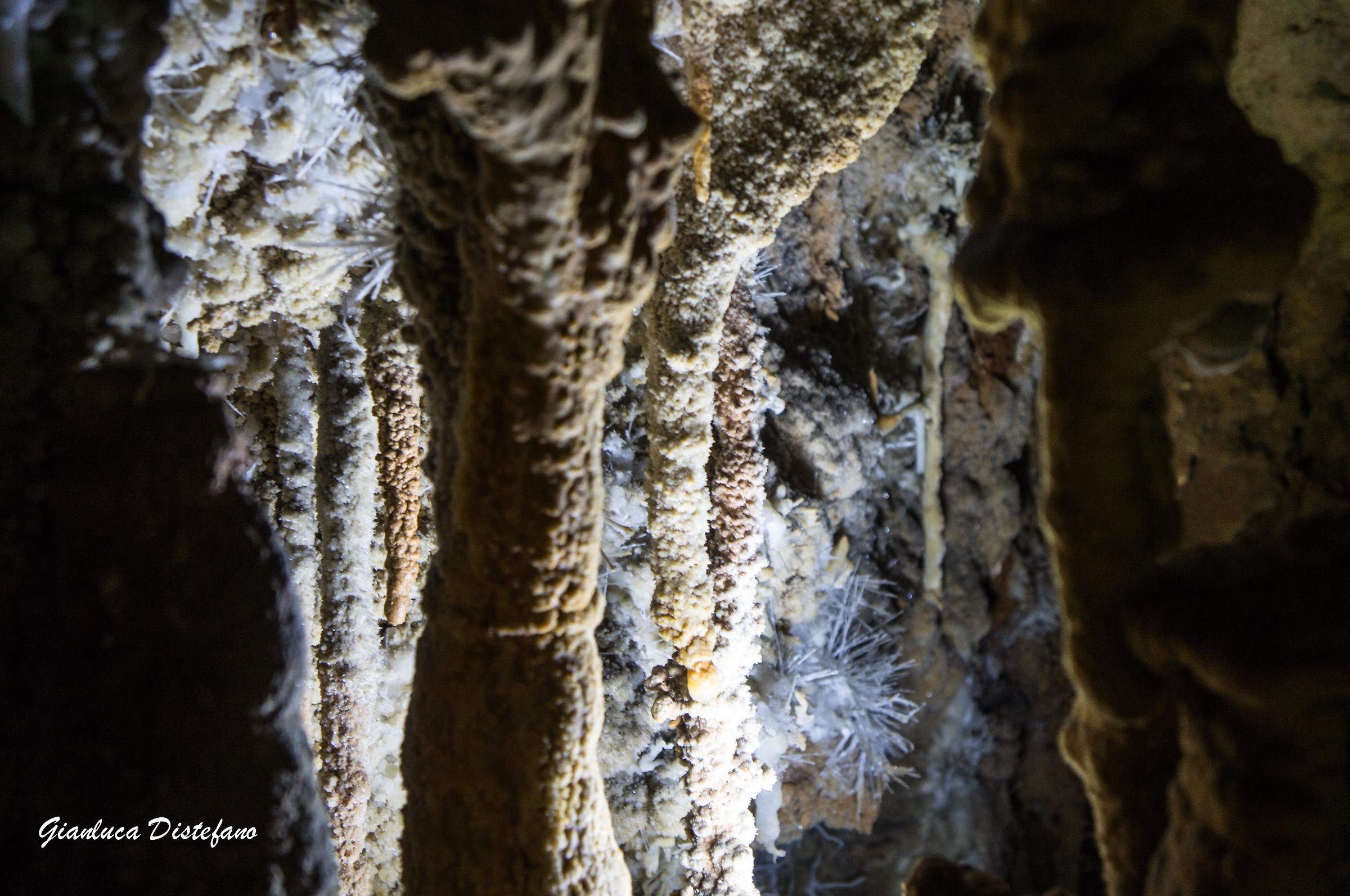 Particolare calcareo 2