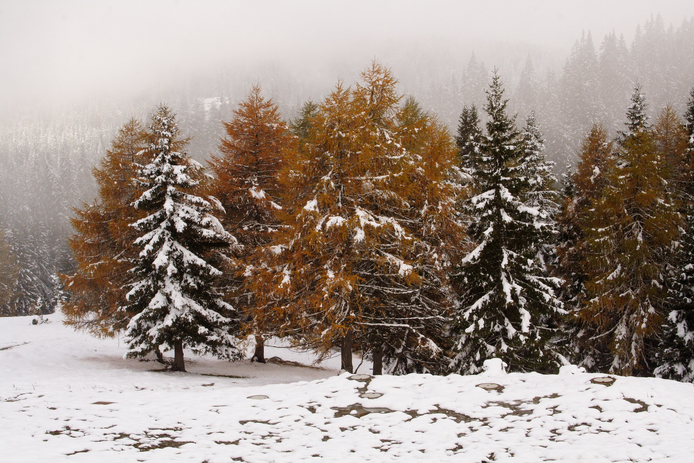 Neve di autunno
