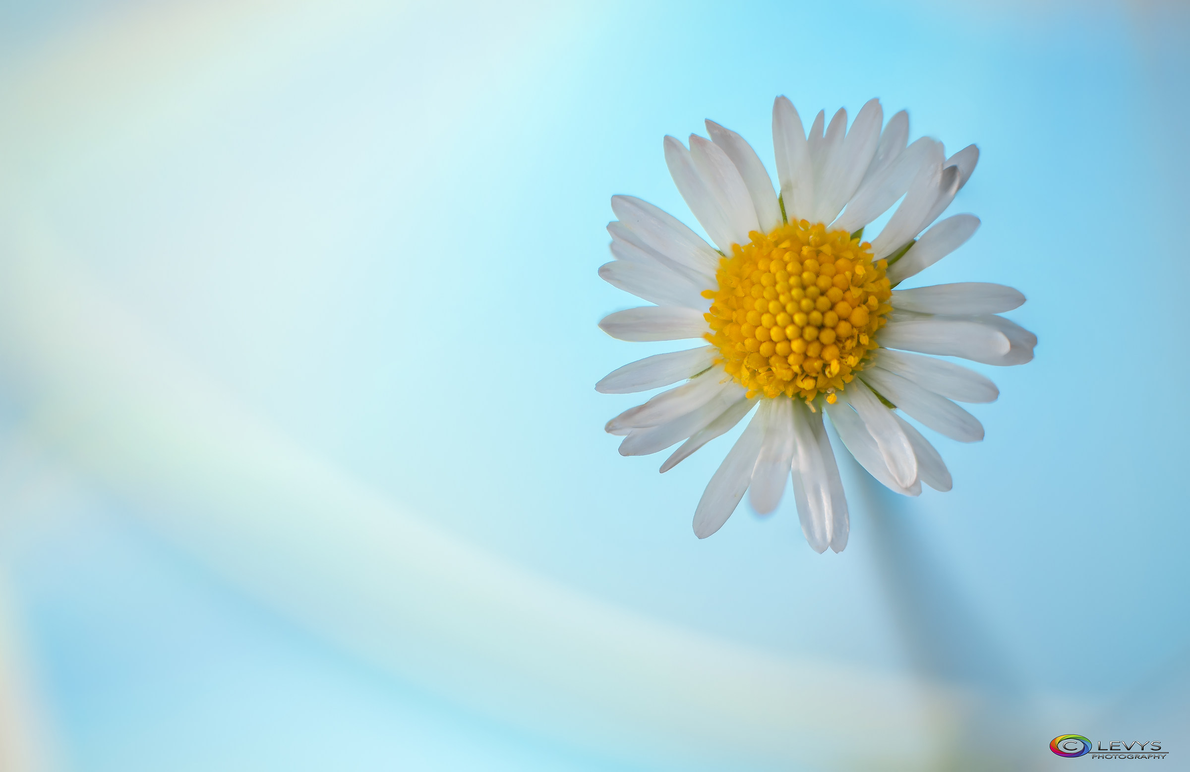 Wallpapers Windows 13