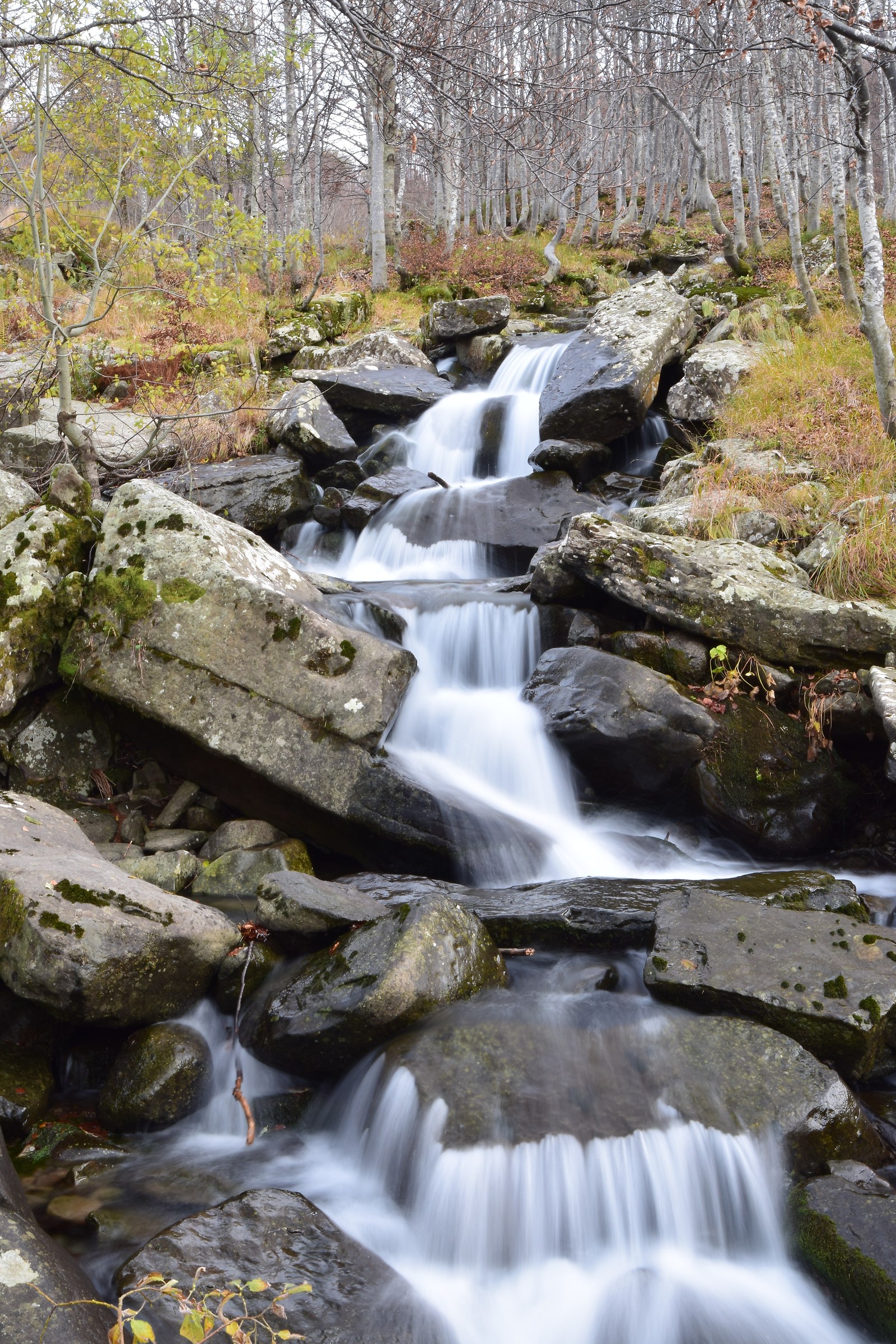 The softness of the water