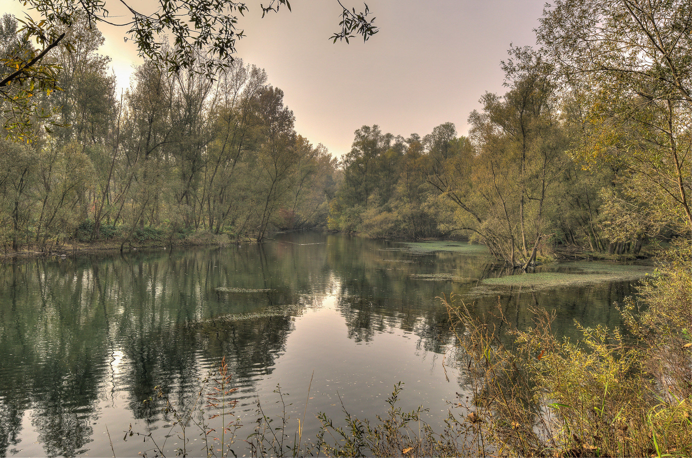 Ticino Park, ford the Lady (Pv)