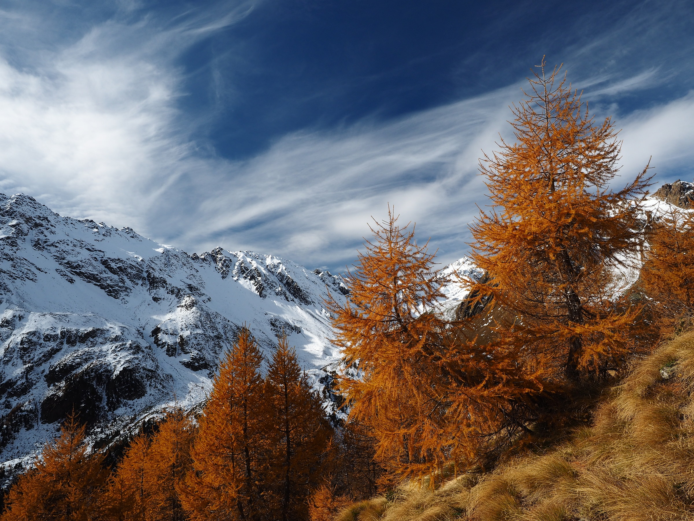 all the colors of autumn Pejo