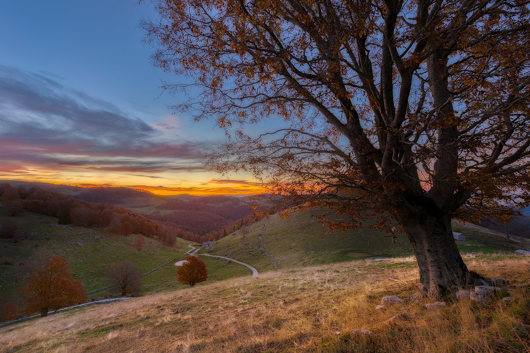 Branchetto - Lessinia