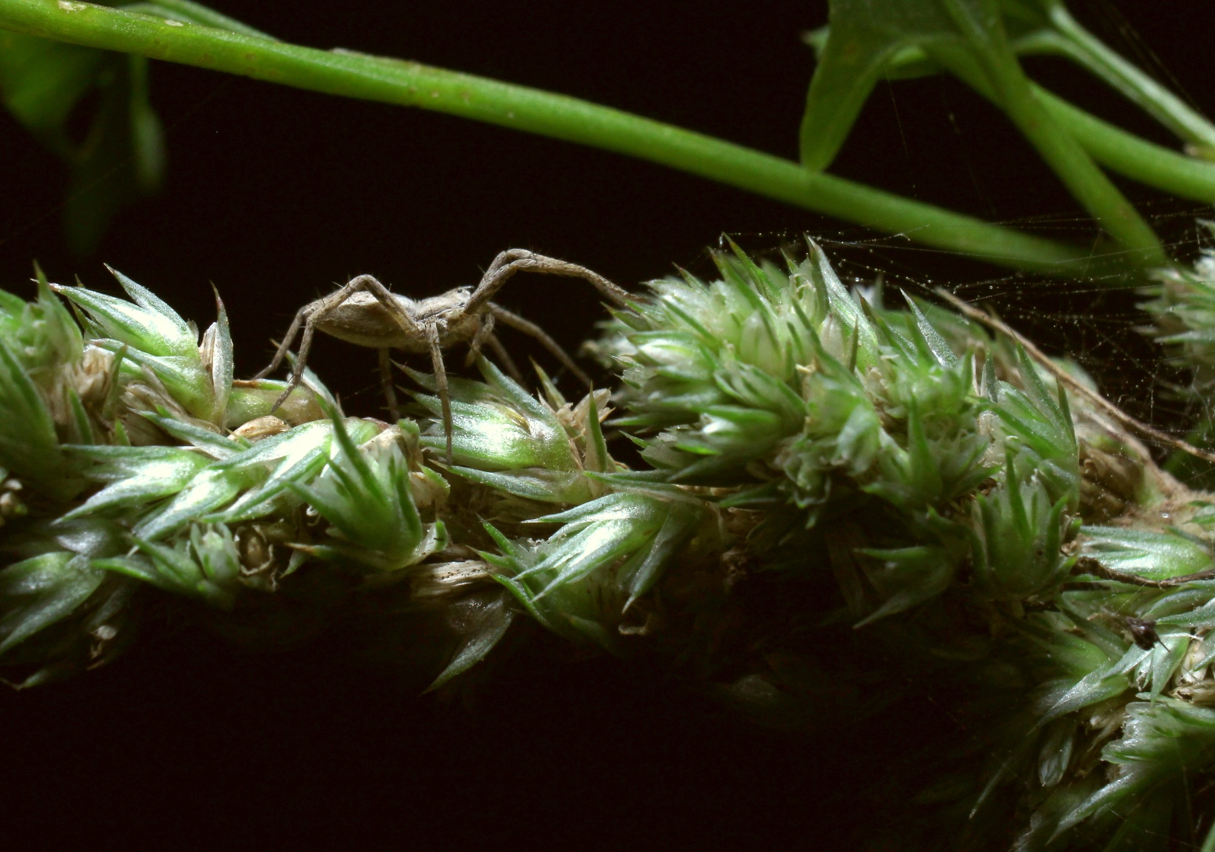 Pomeriggio d'autunno